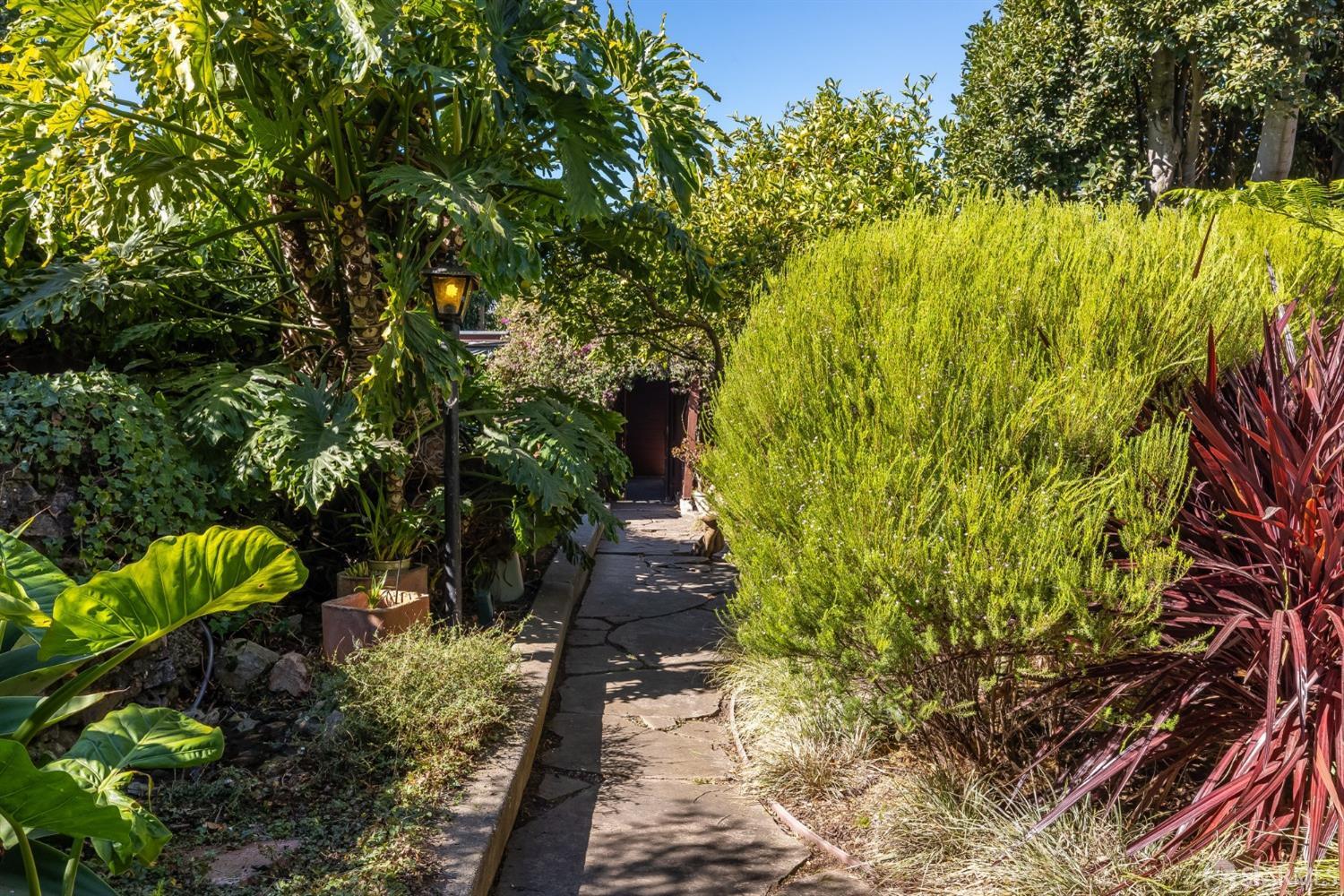324 Bocana Street