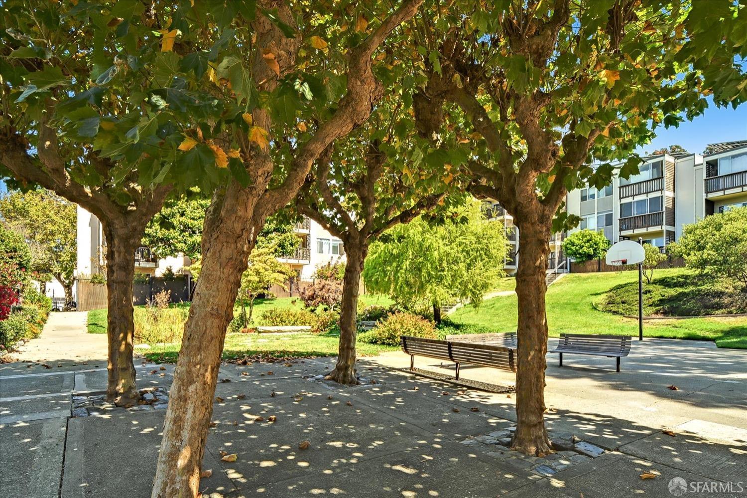 1545 Geary Boulevard # 3