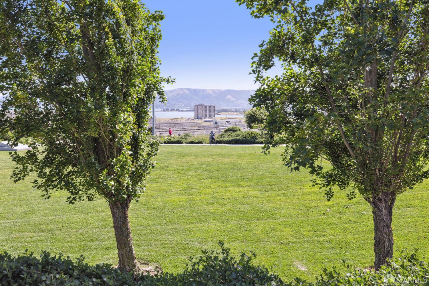 100 Avocet Way