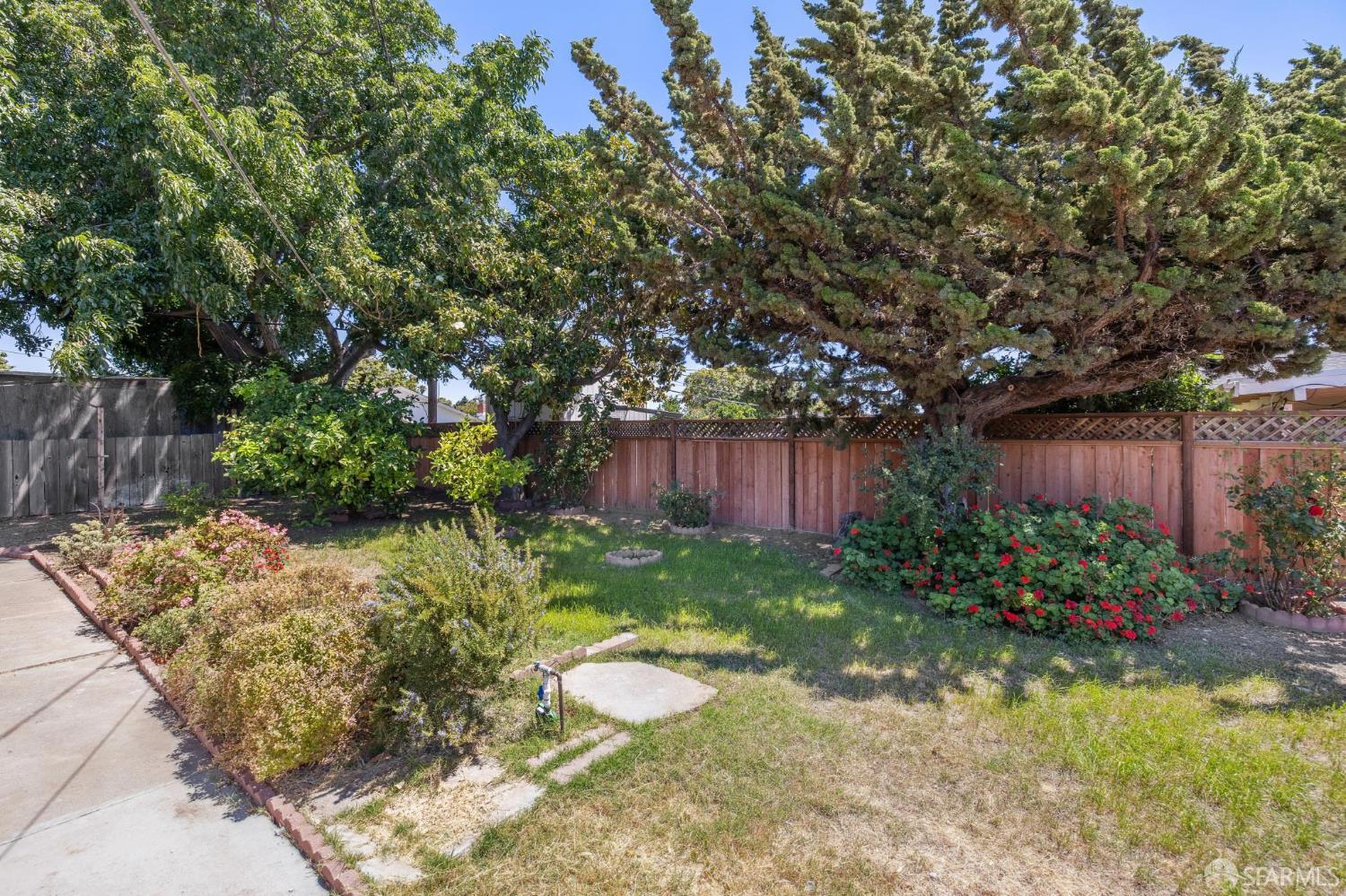 941 Norton Street