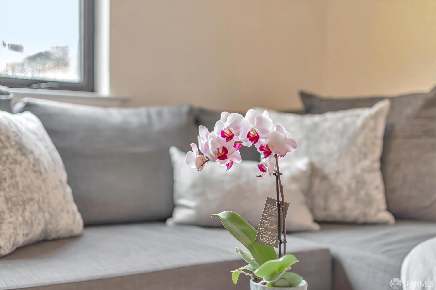226 27th Street # 10