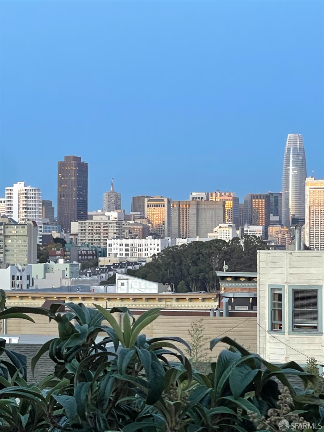 930 Scott Street # 6