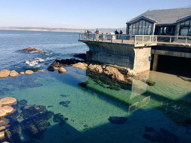 621 Mcclellan Avenue Studio