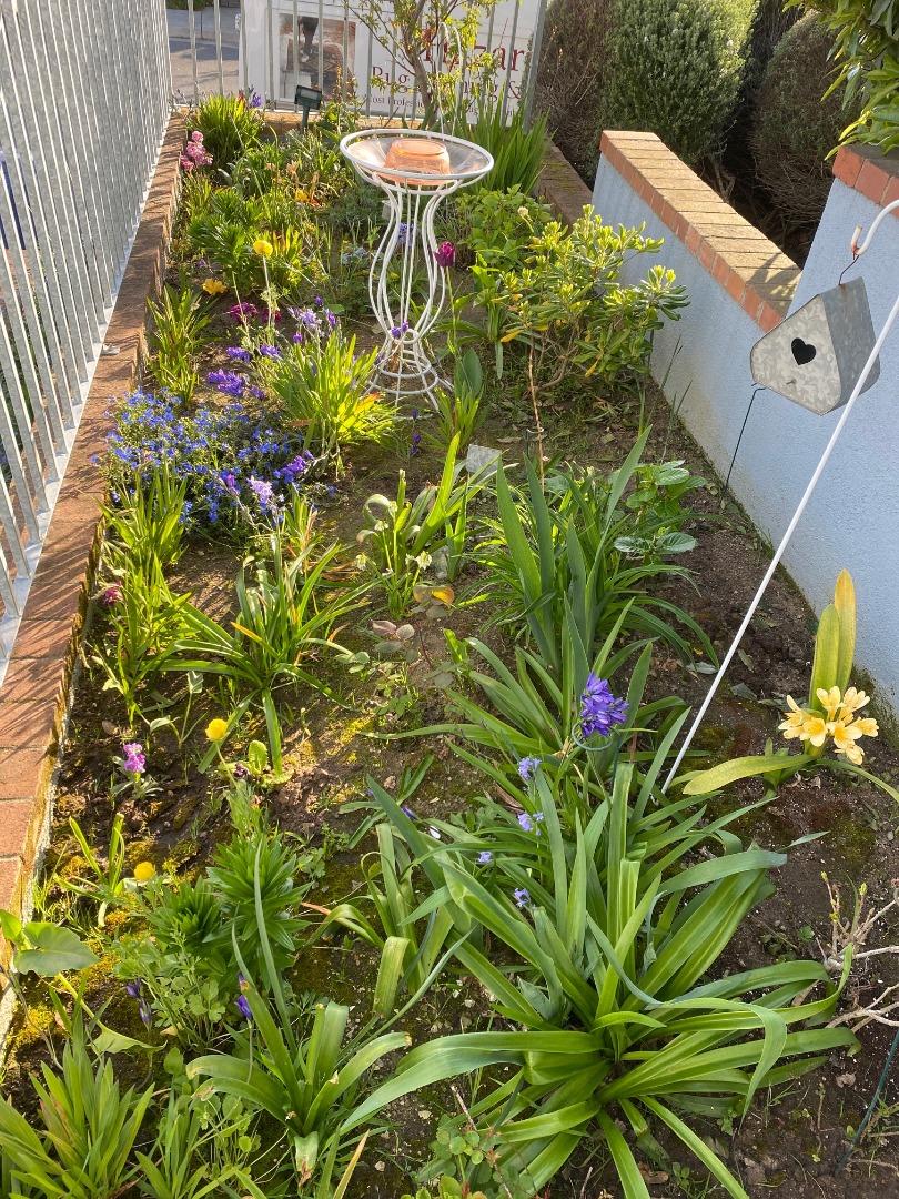 621 Mcclellan Avenue Studio