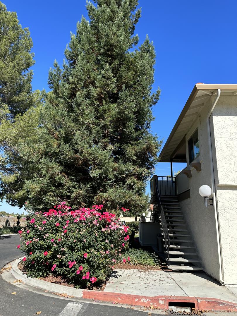 5466 Colony Field Drive