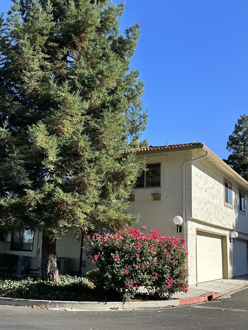 5466 Colony Field Drive
