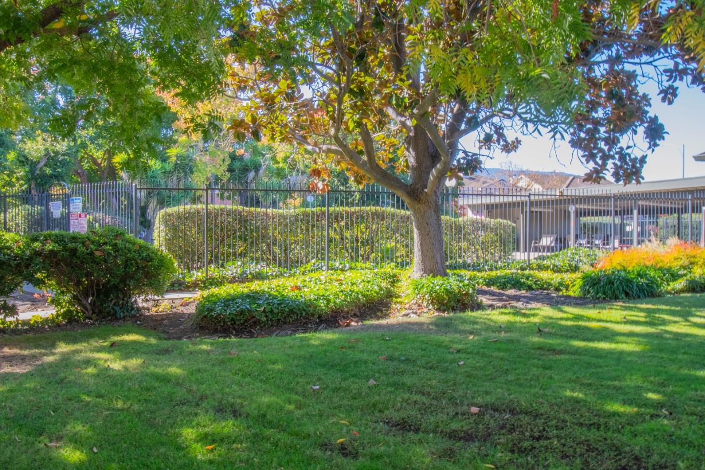 5892 El Zuparko Drive 4