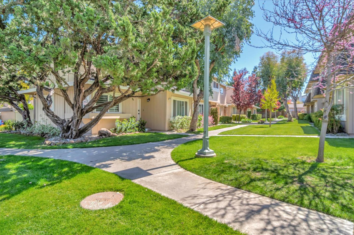 22762 Majestic Oak Way