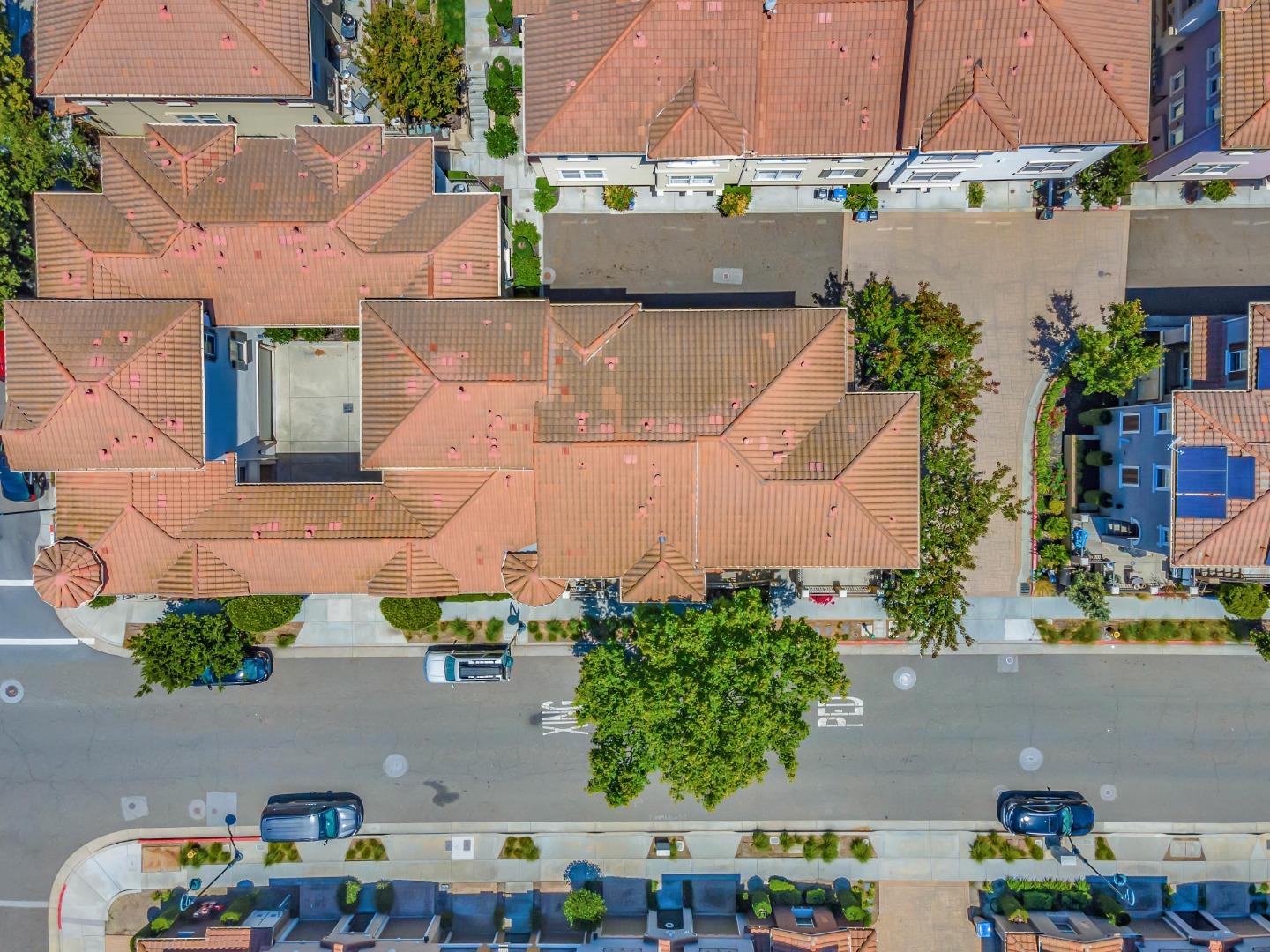 339 Casselino Drive
