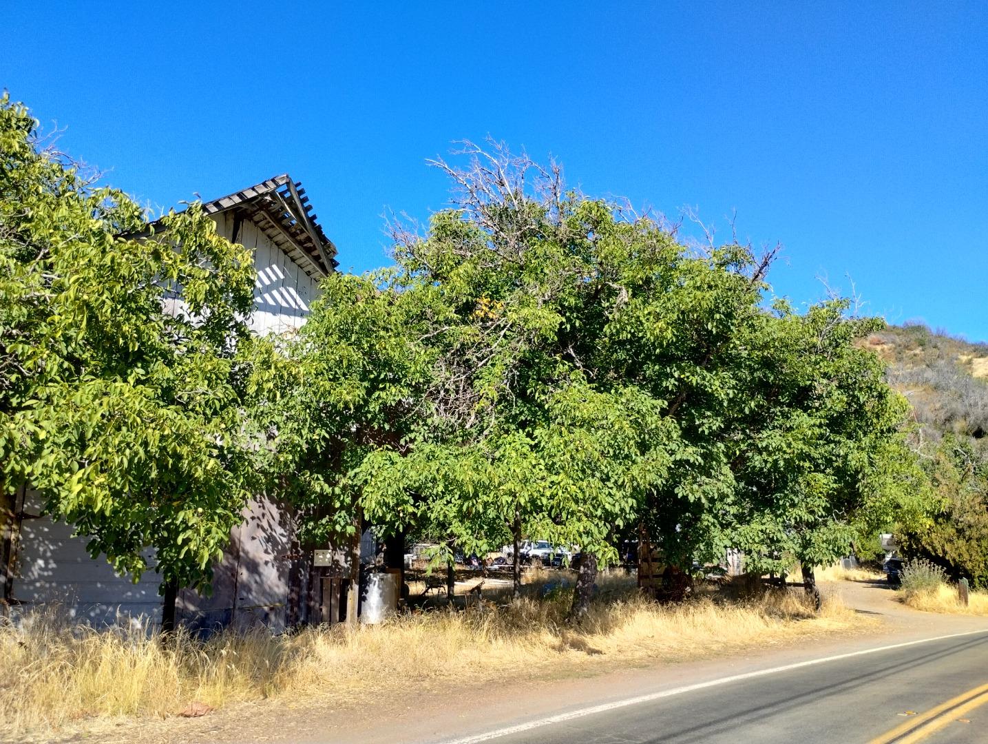 6335 Scotts Valley RD