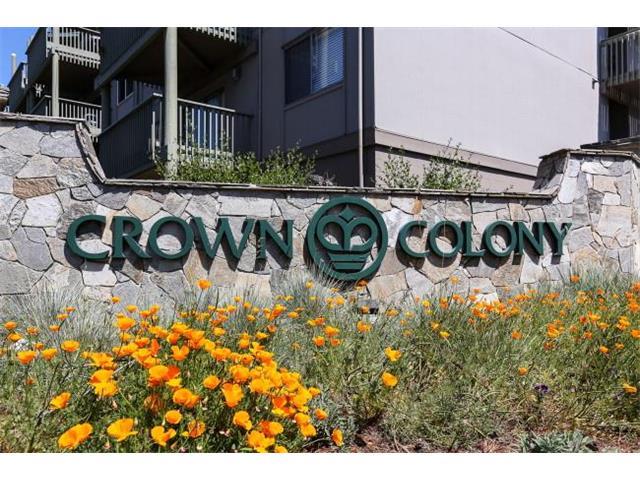 368 Imperial Way 204