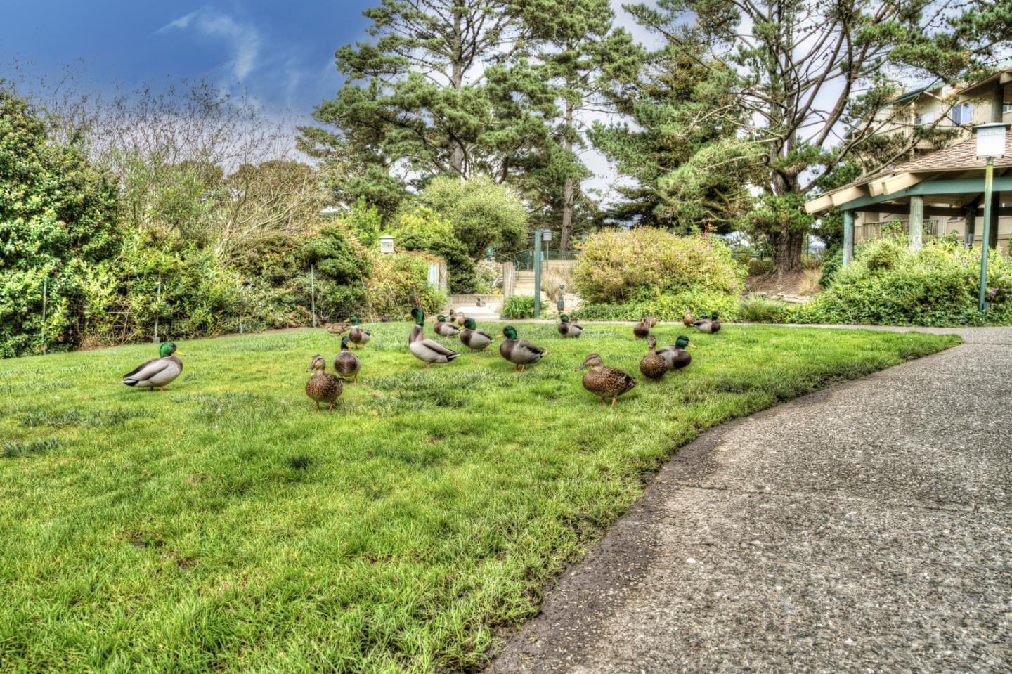 368 Imperial Way 204
