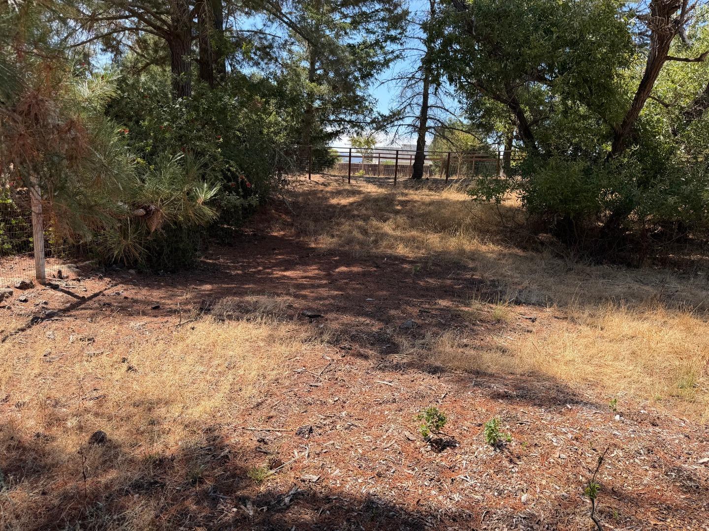 9175 Vista Del Monte CT
