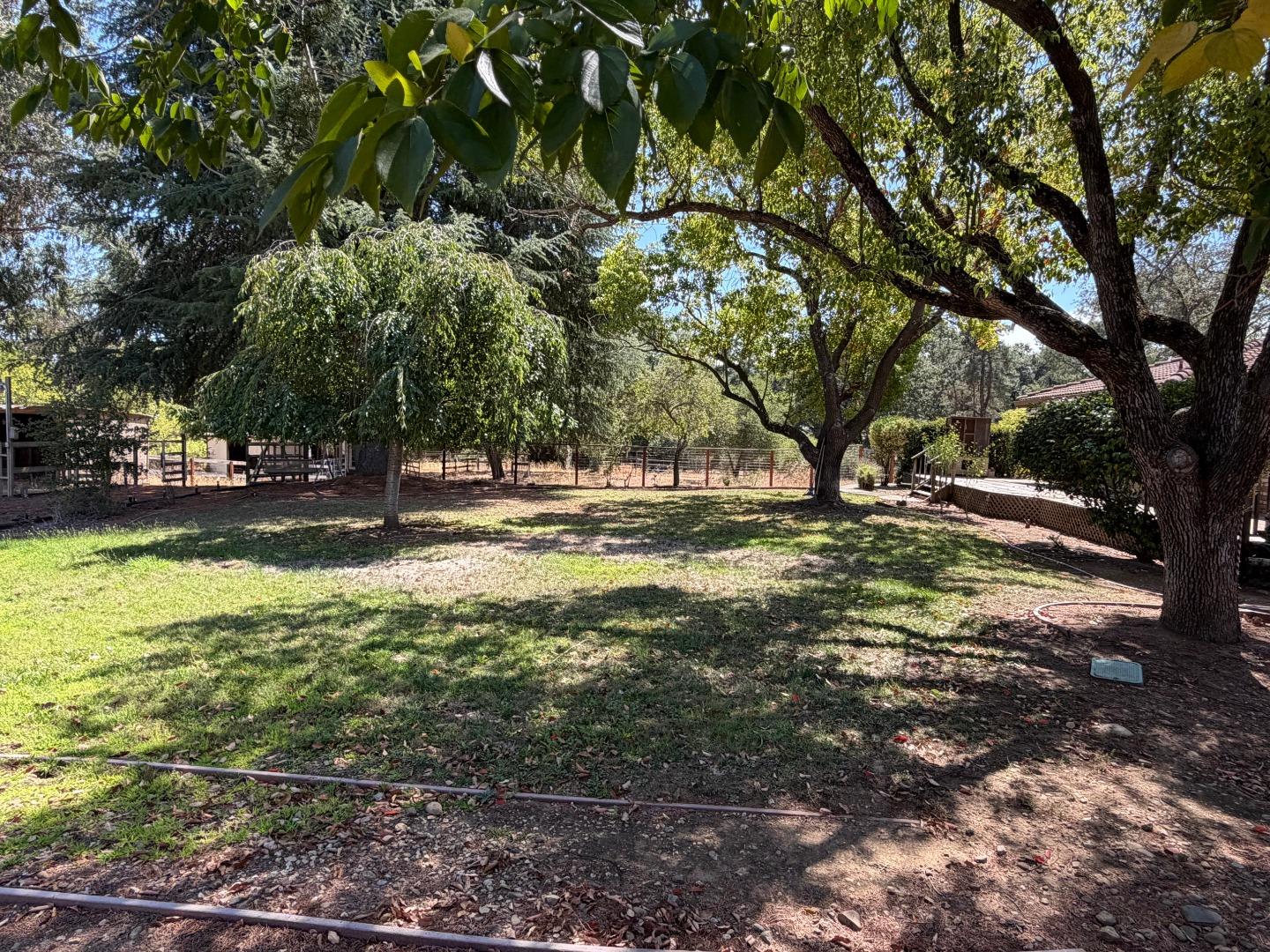 9175 Vista Del Monte CT