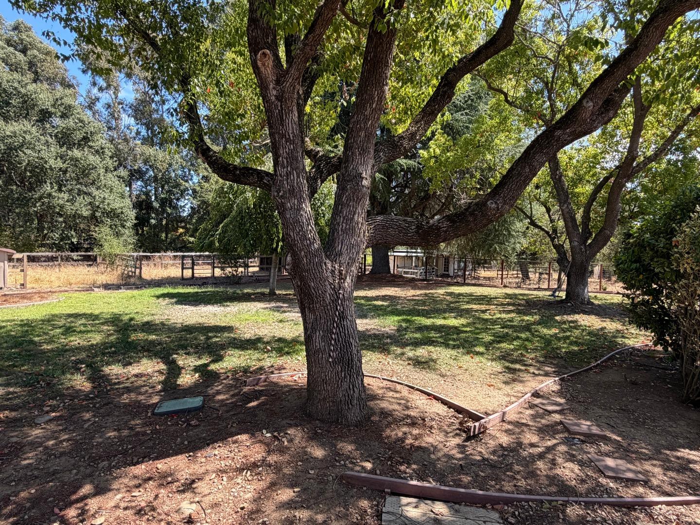 9175 Vista Del Monte CT
