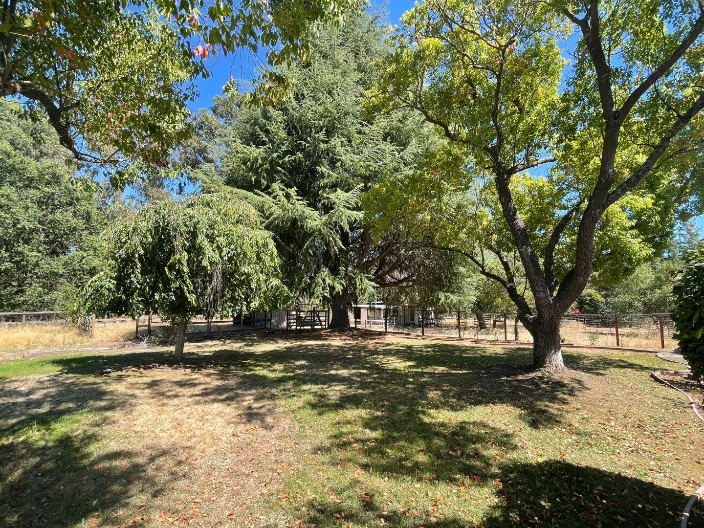 9175 Vista Del Monte CT