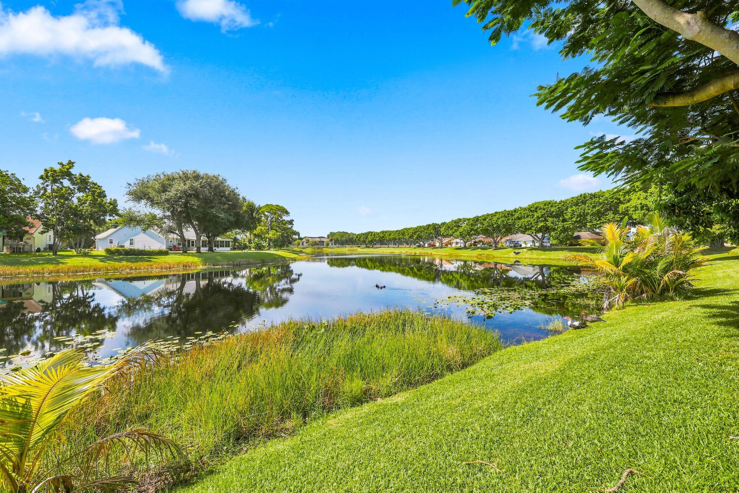 1707 Banyan Creek Court
