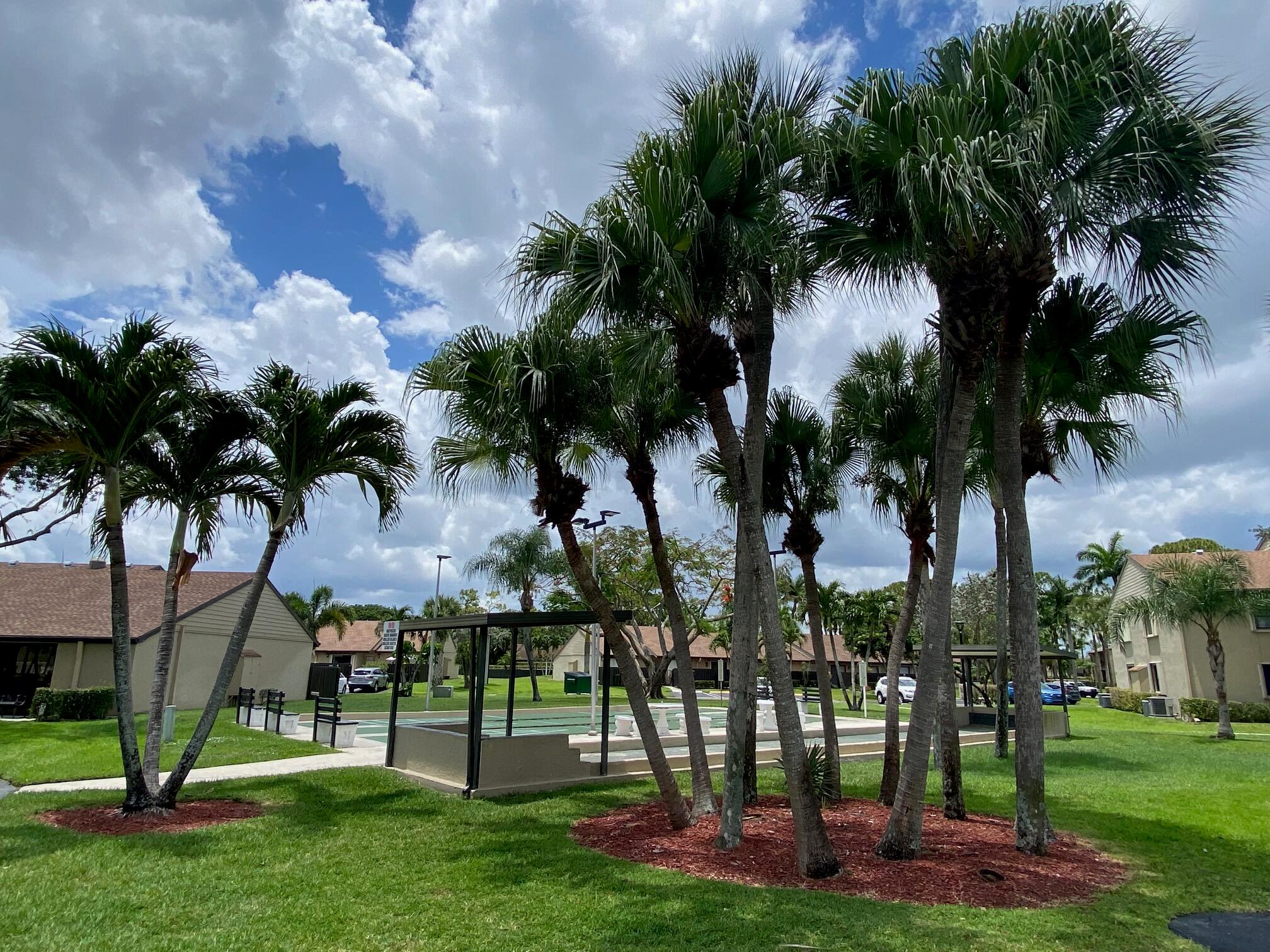 526 Shady Pine Way D1