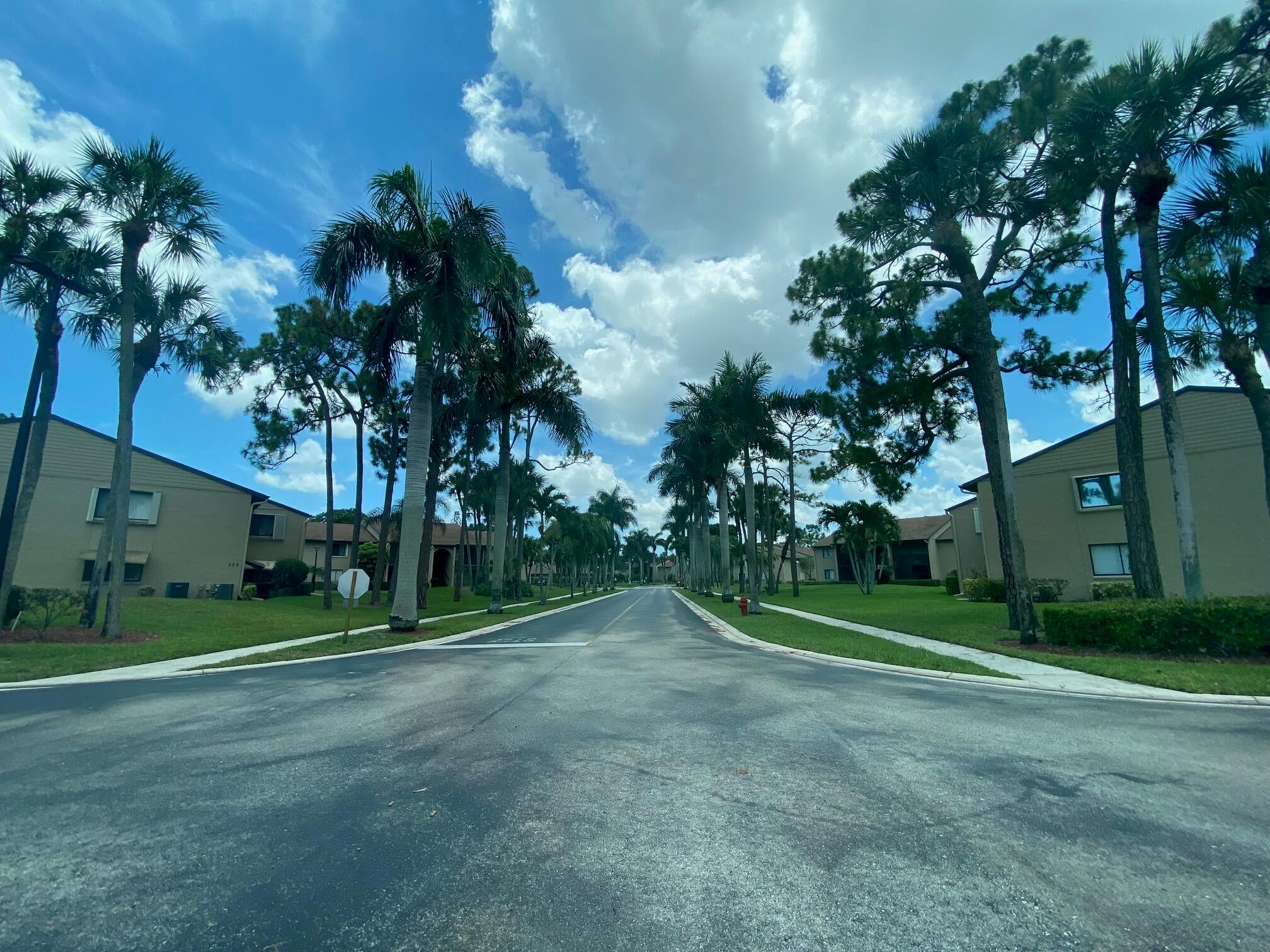 526 Shady Pine Way D1