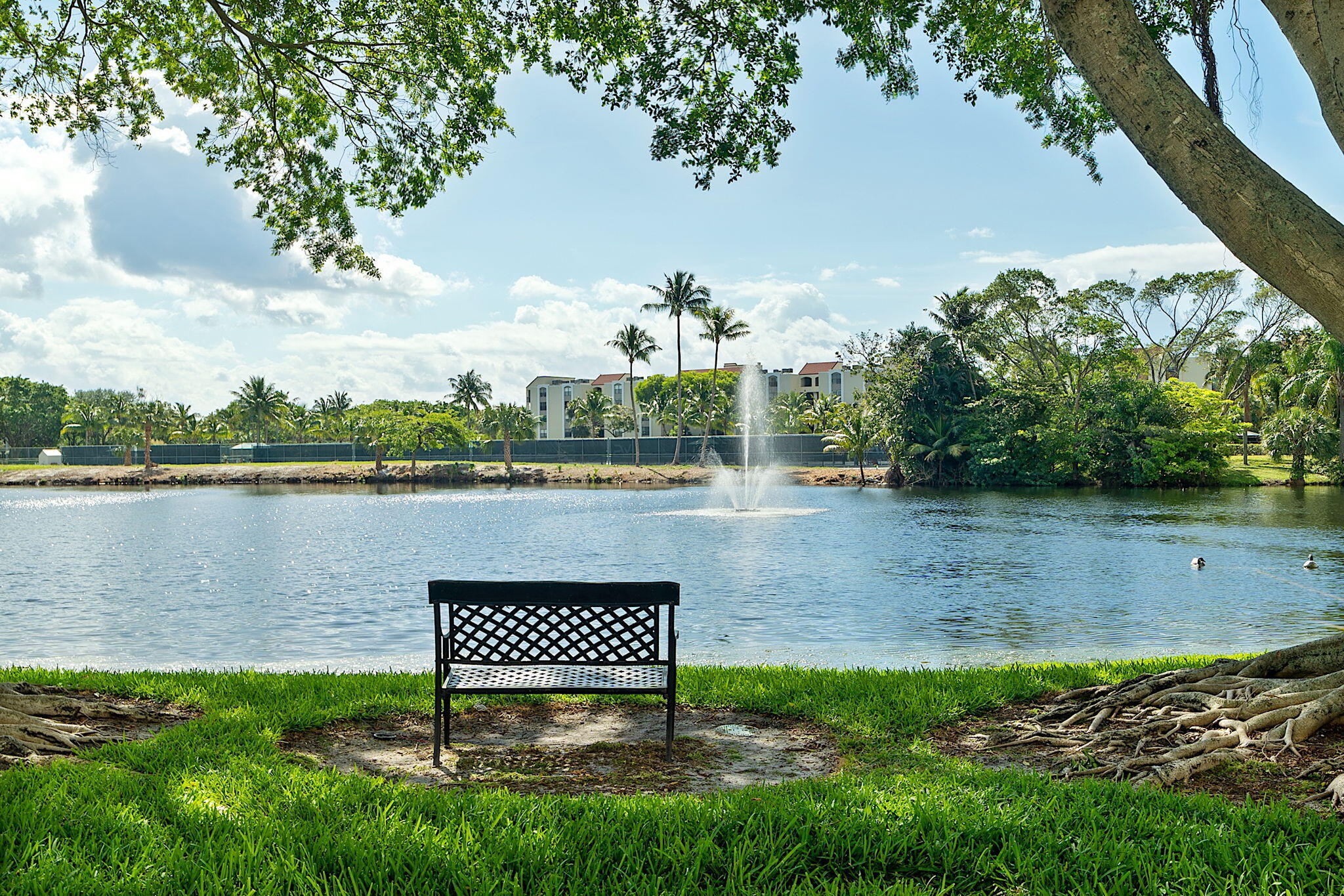 950 Lavers Circle Apt F-205