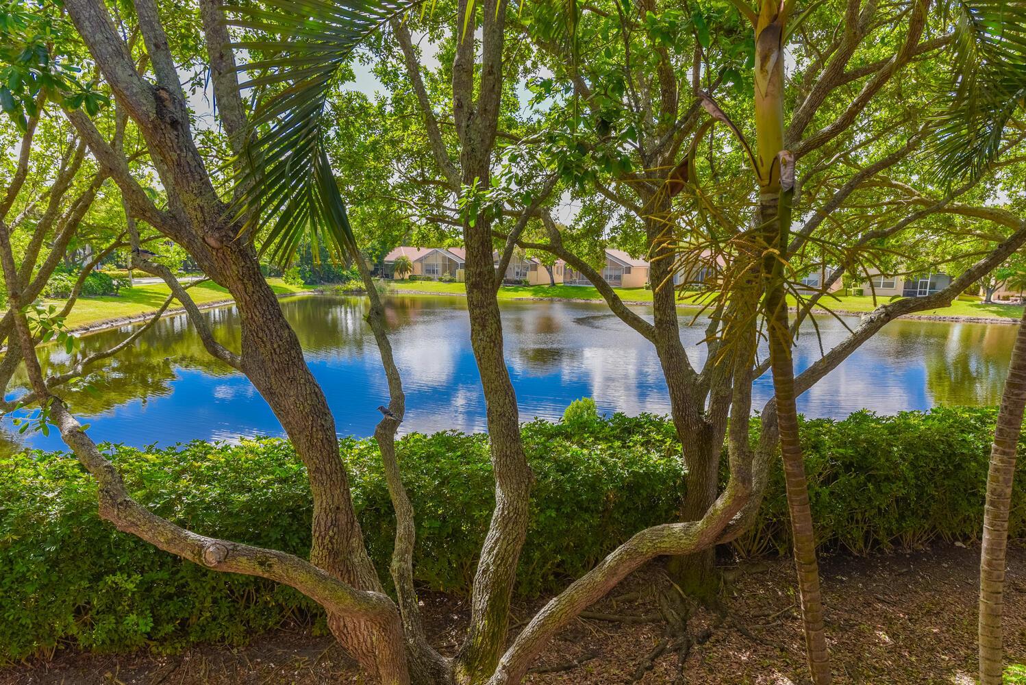 15175 Michelangelo Boulevard 204