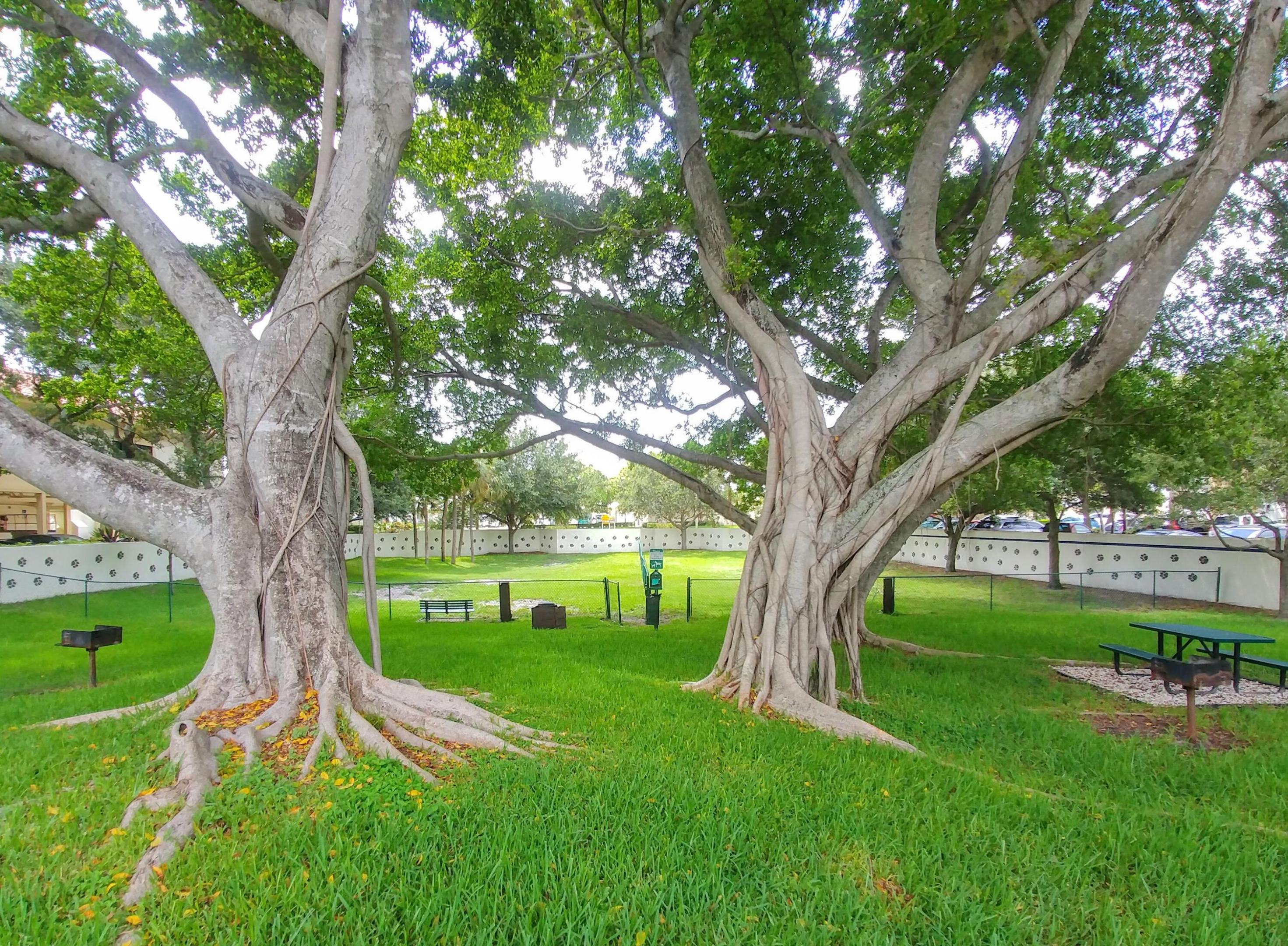 3130 Millwood Terrace 2160