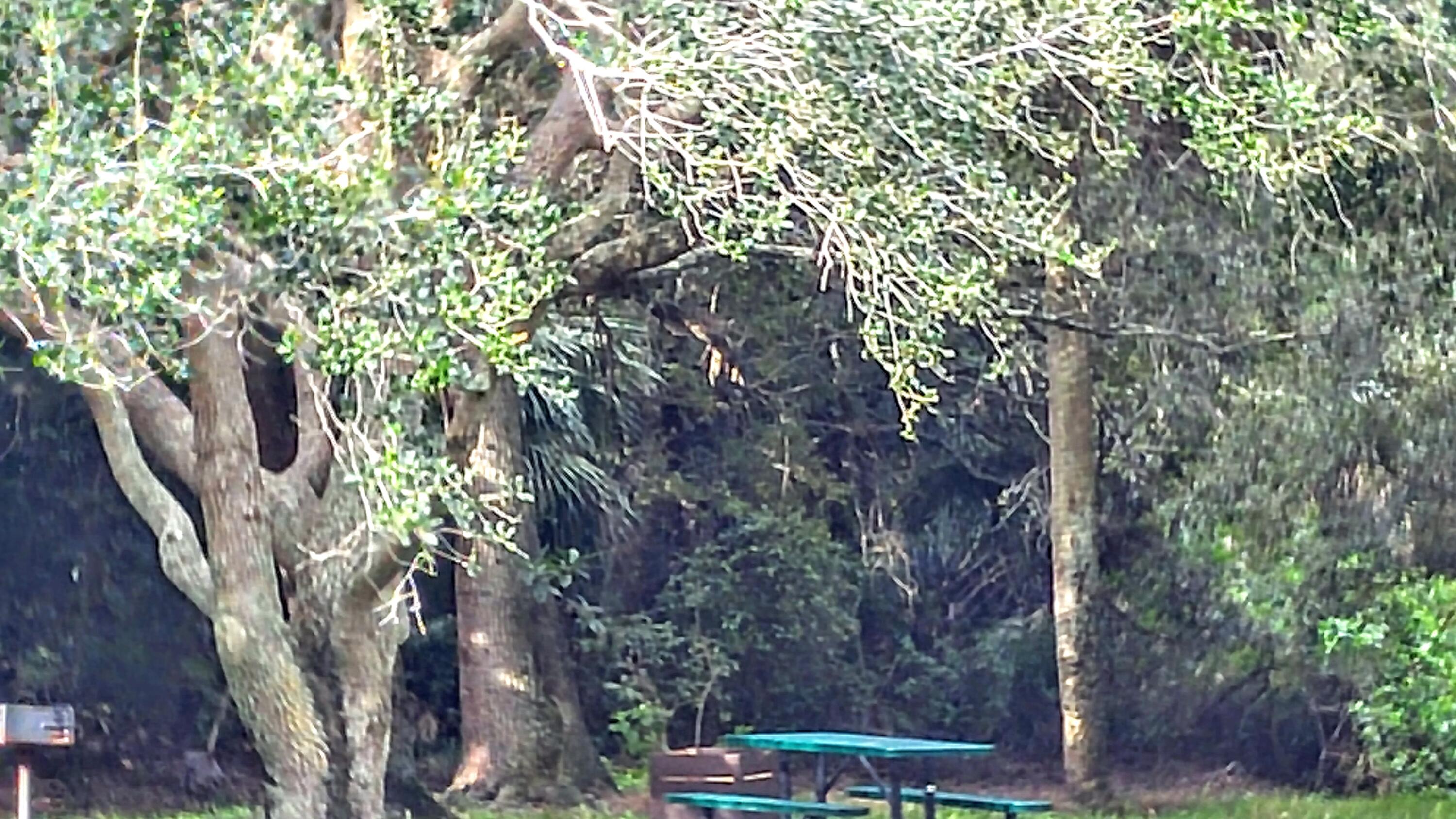 3130 Millwood Terrace 2160