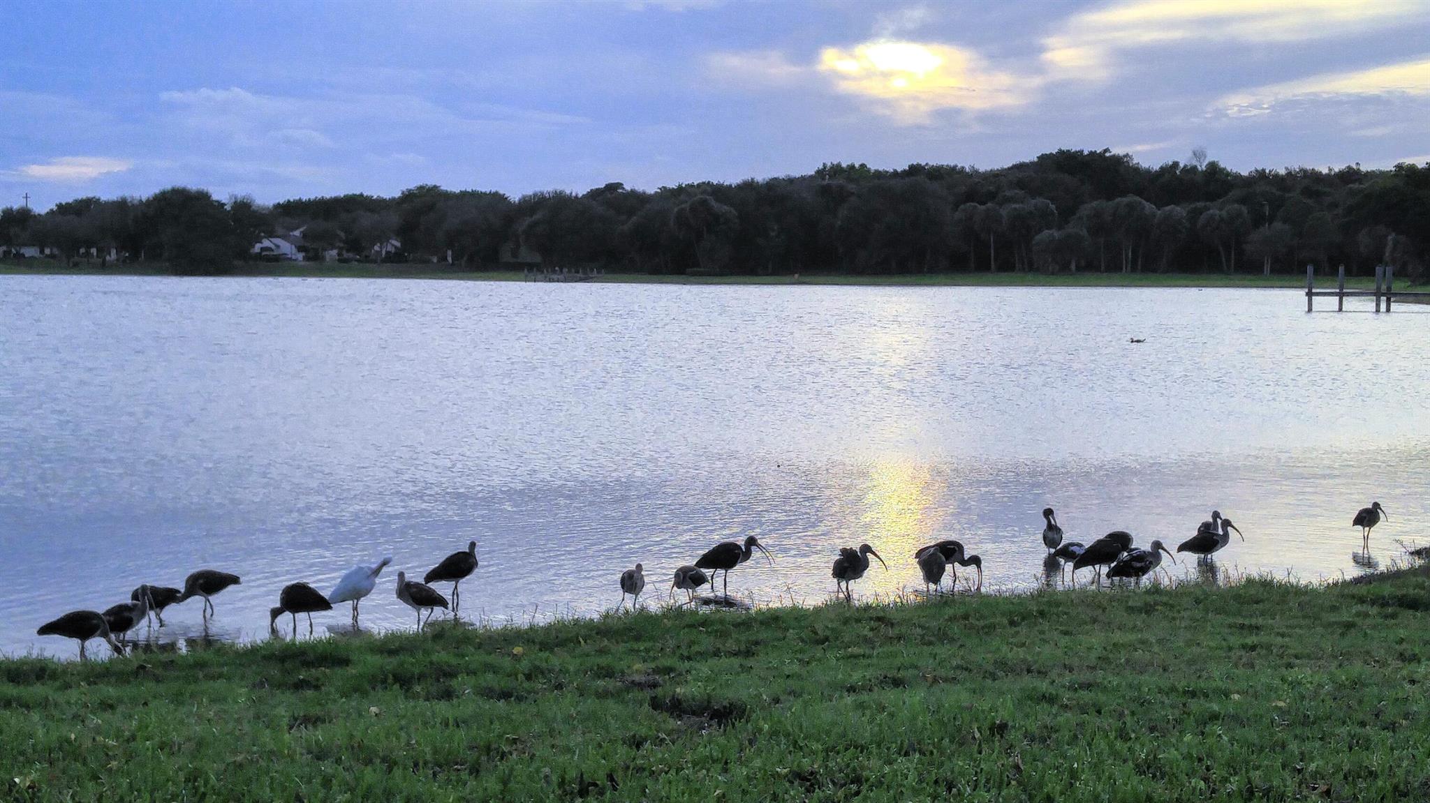 3130 Millwood Terrace 2160