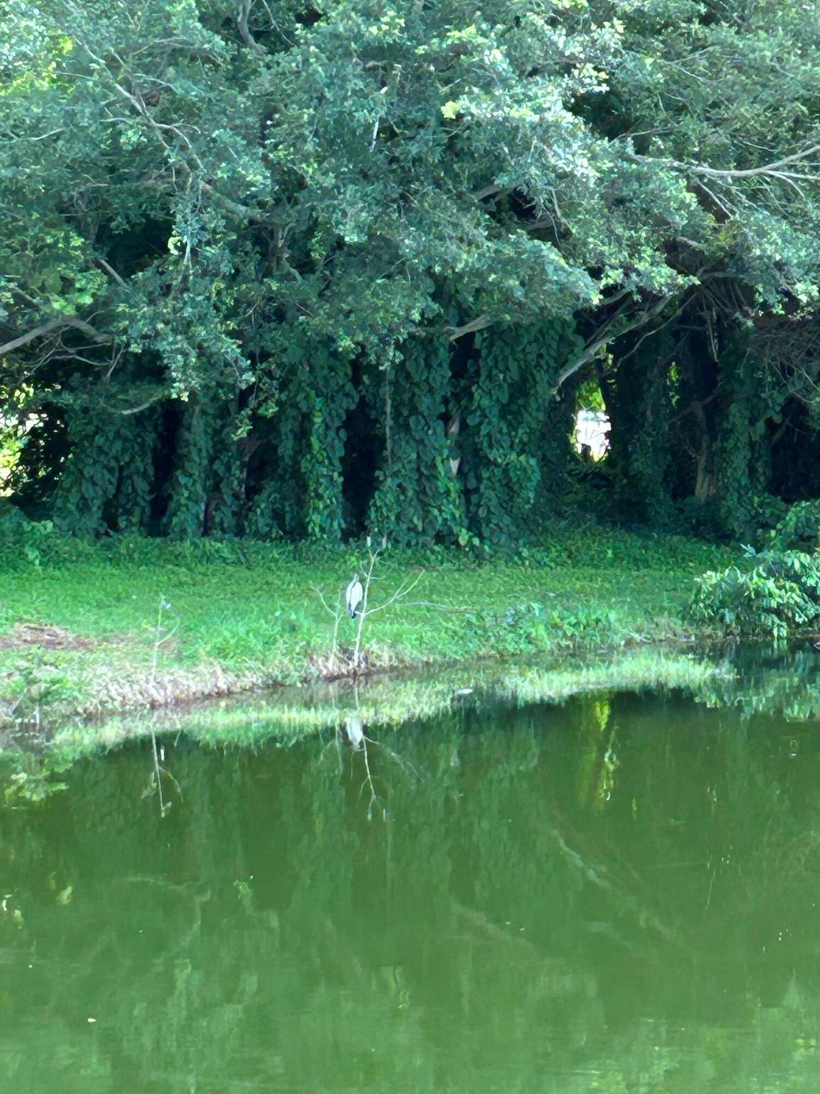 13811 Oneida Drive H2