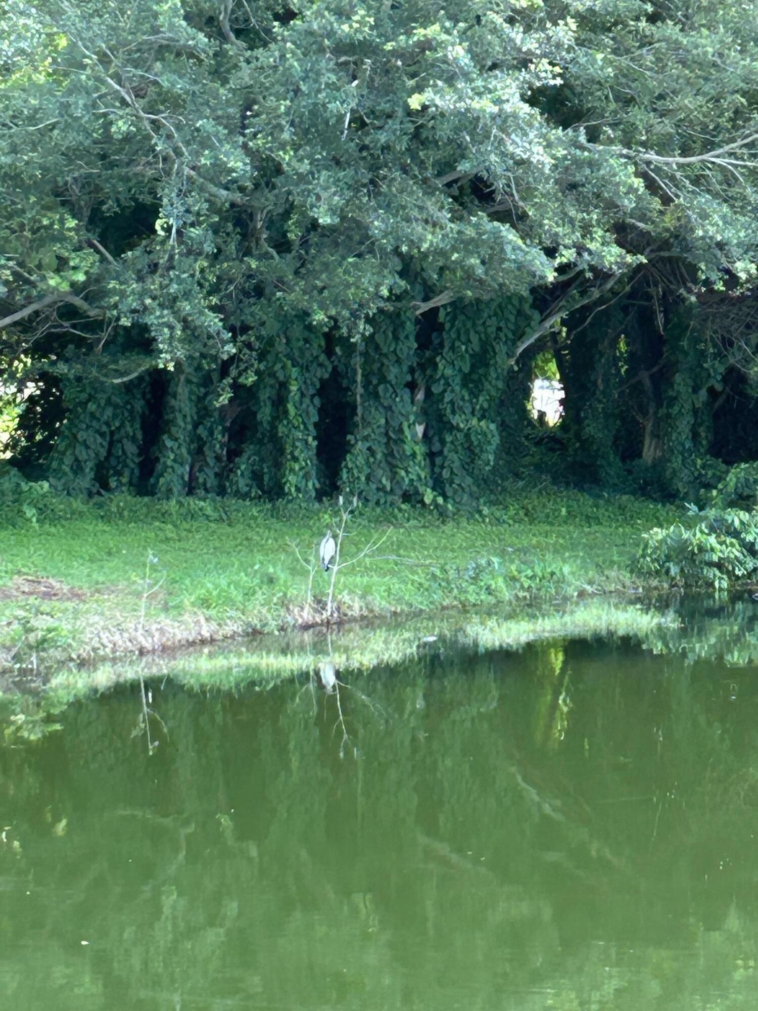 13811 Oneida Drive H2