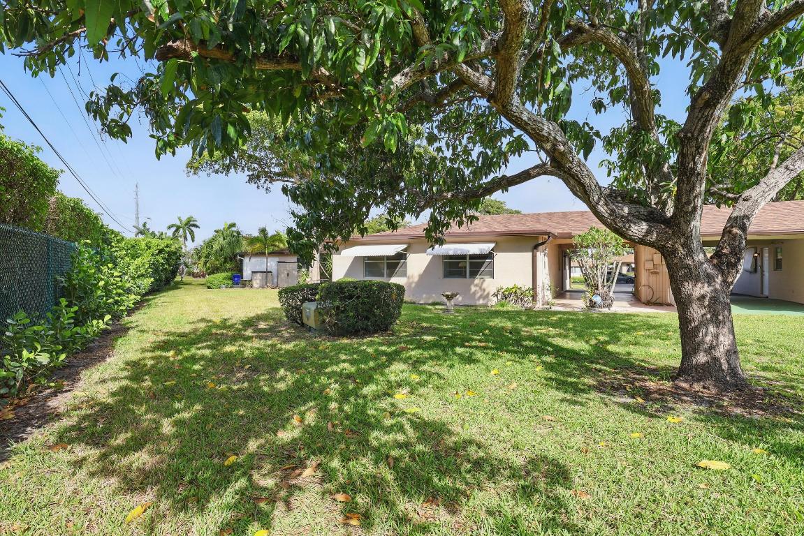 142 Mockingbird Lane