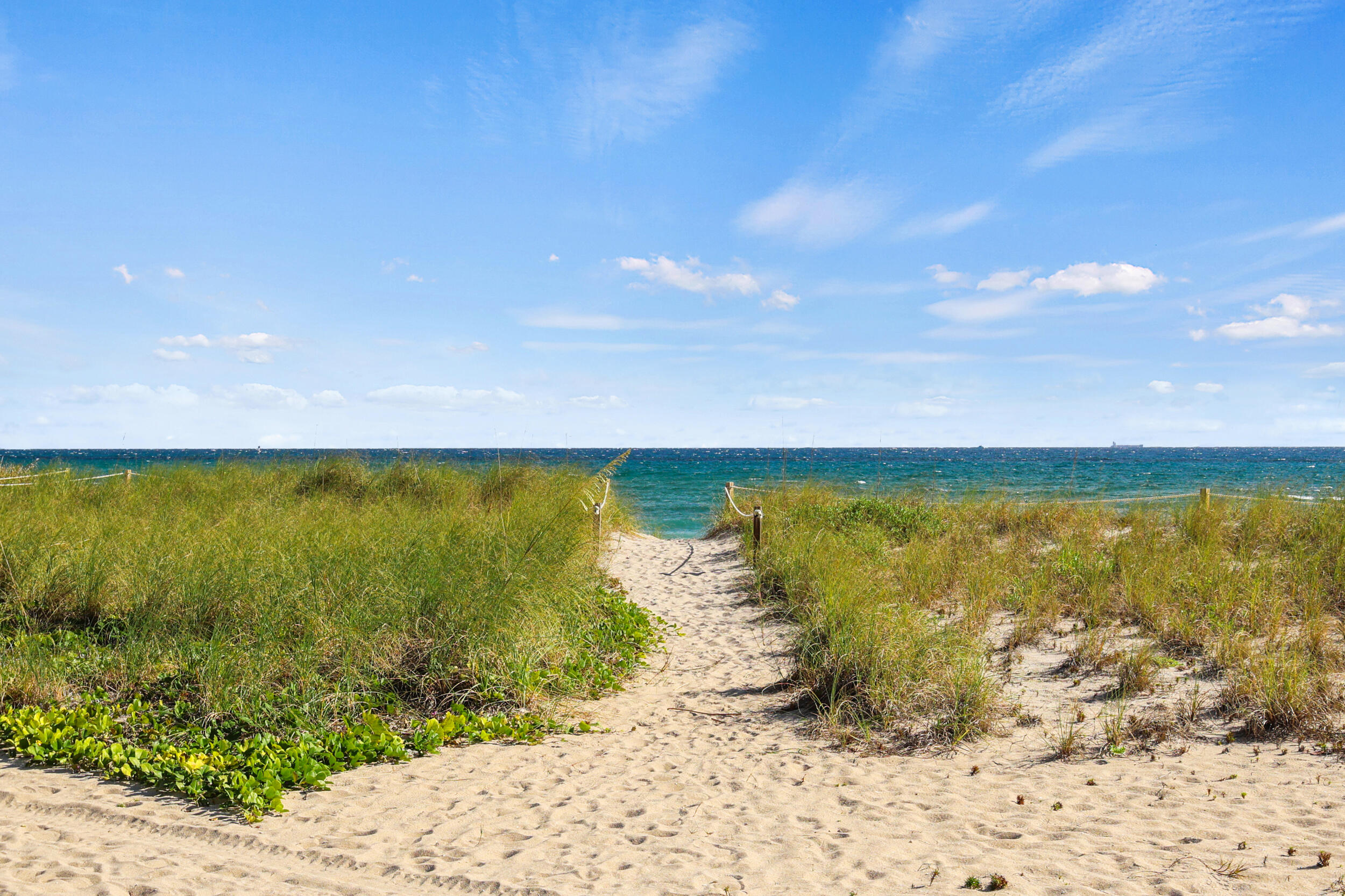 730 N Ocean Boulevard 1402