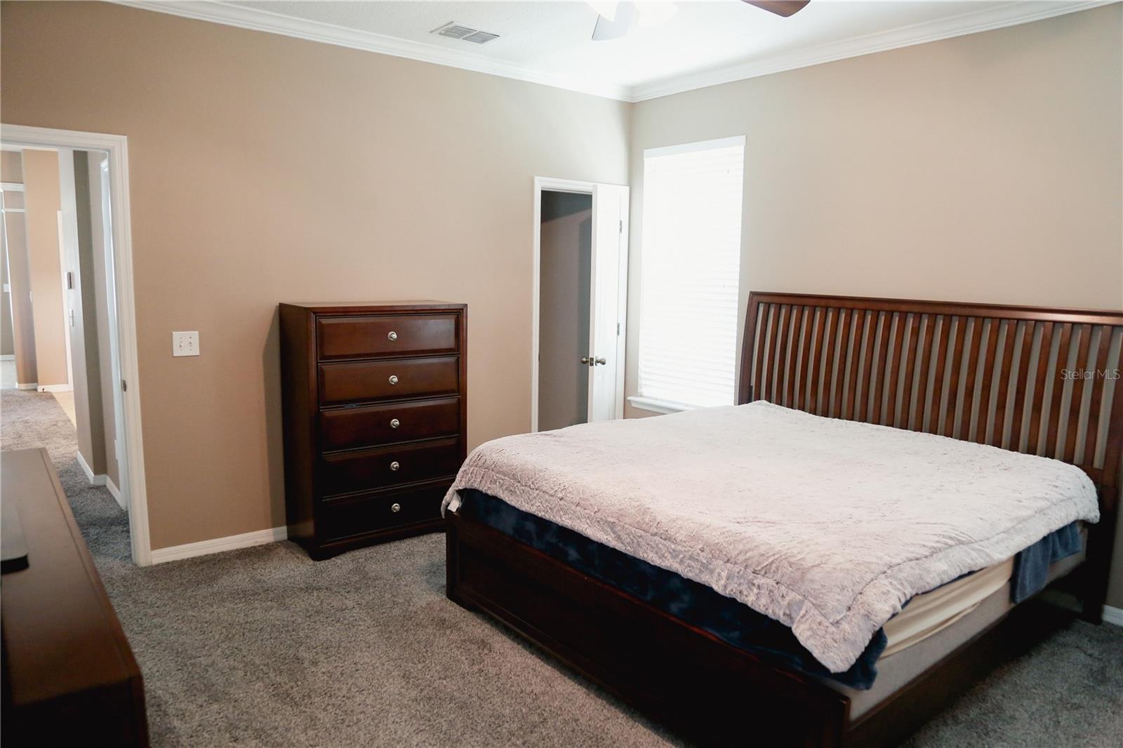 3216 BLAZING STAR LN