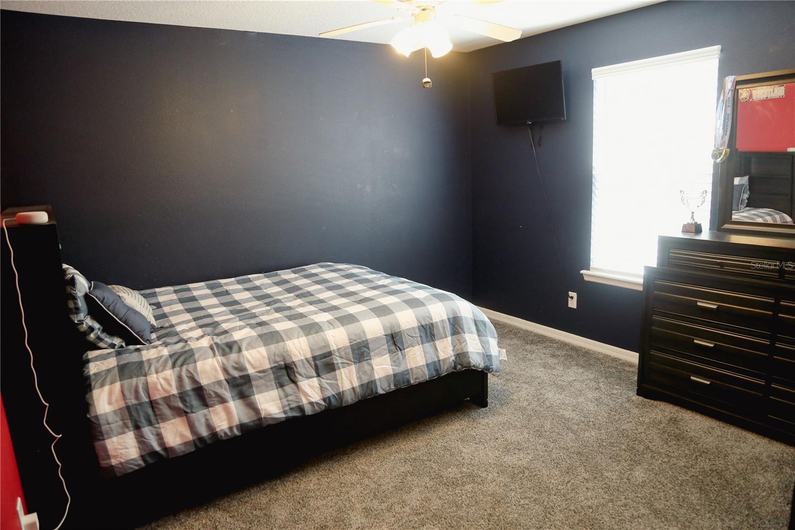 3216 BLAZING STAR LN