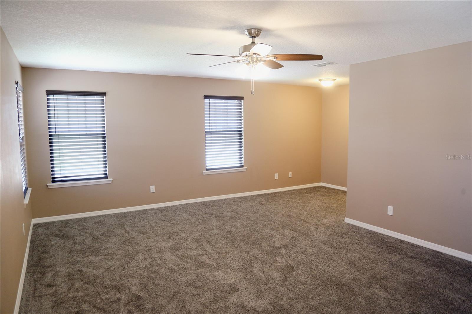 3216 BLAZING STAR LN