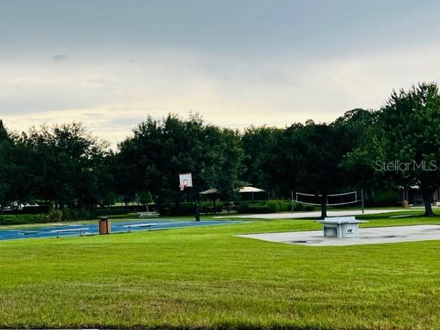 3216 BLAZING STAR LN