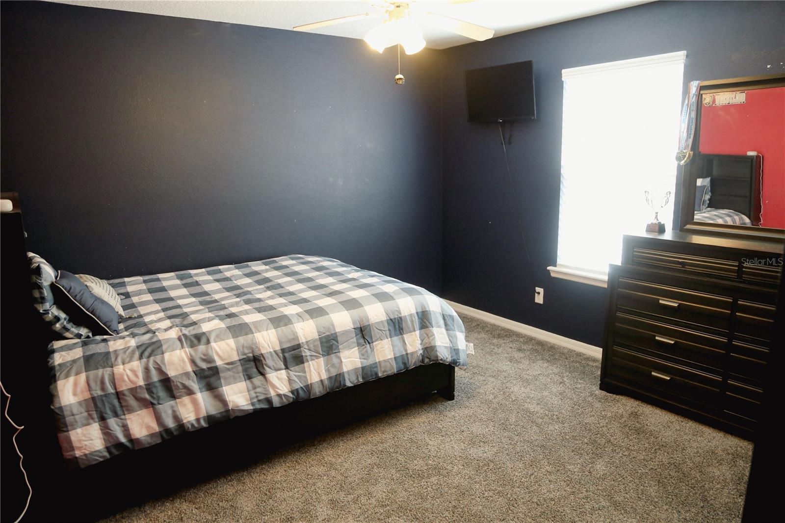 3216 BLAZING STAR LN