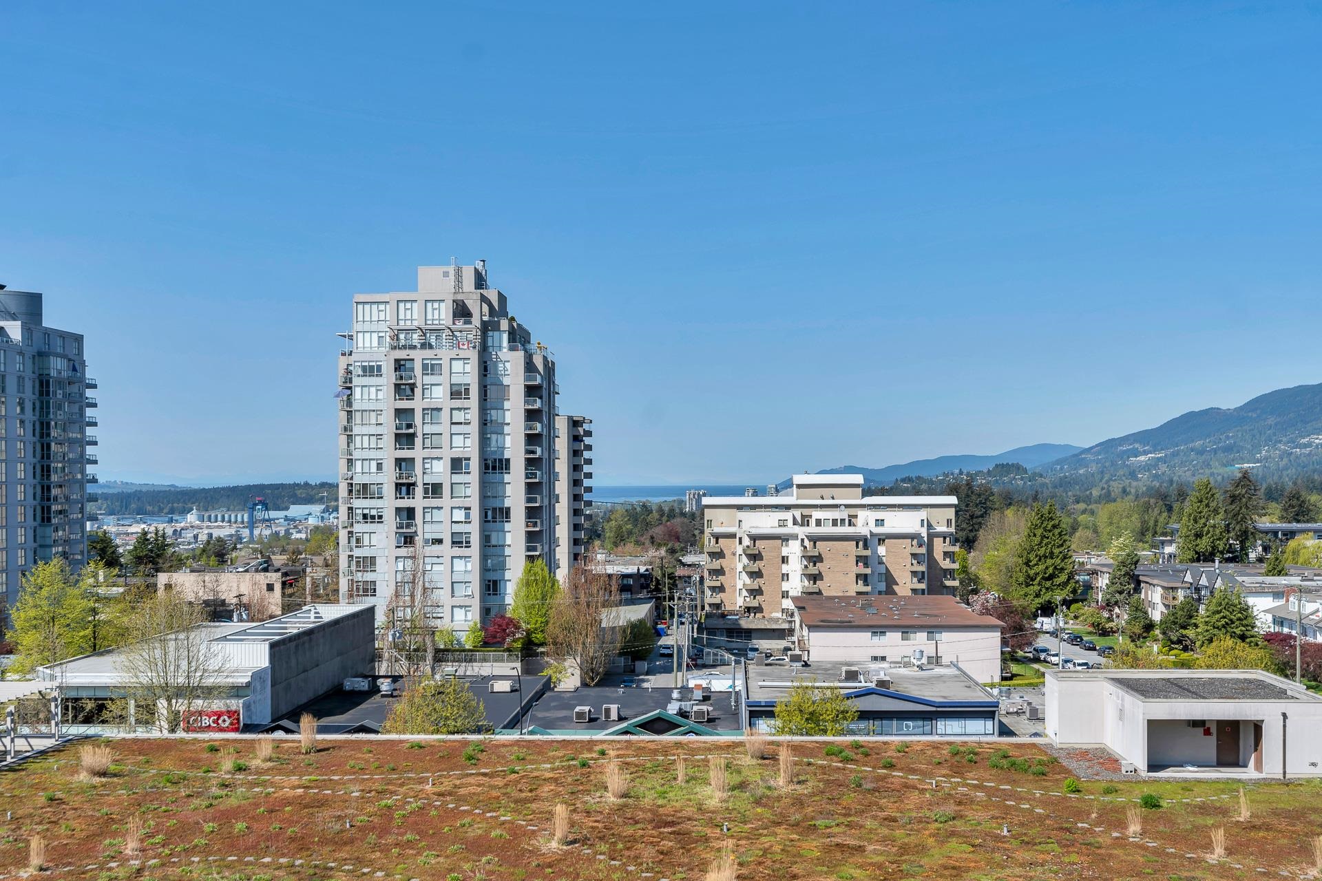 704 135 E 17TH STREET Unit: 704