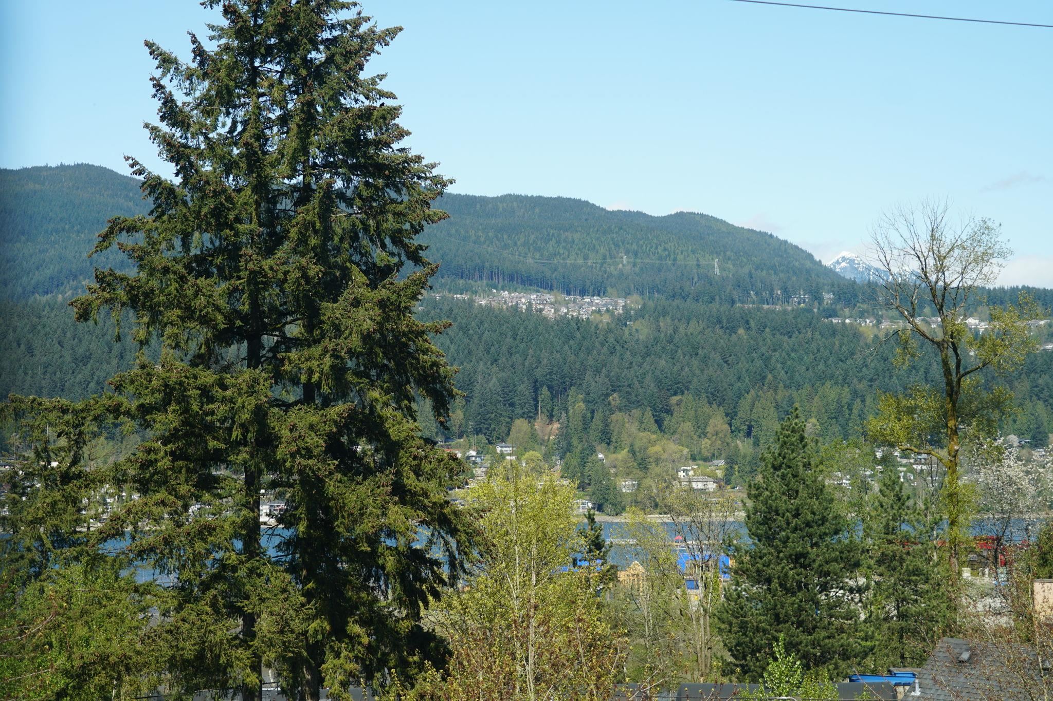 207 80 ELGIN STREET Unit: 207