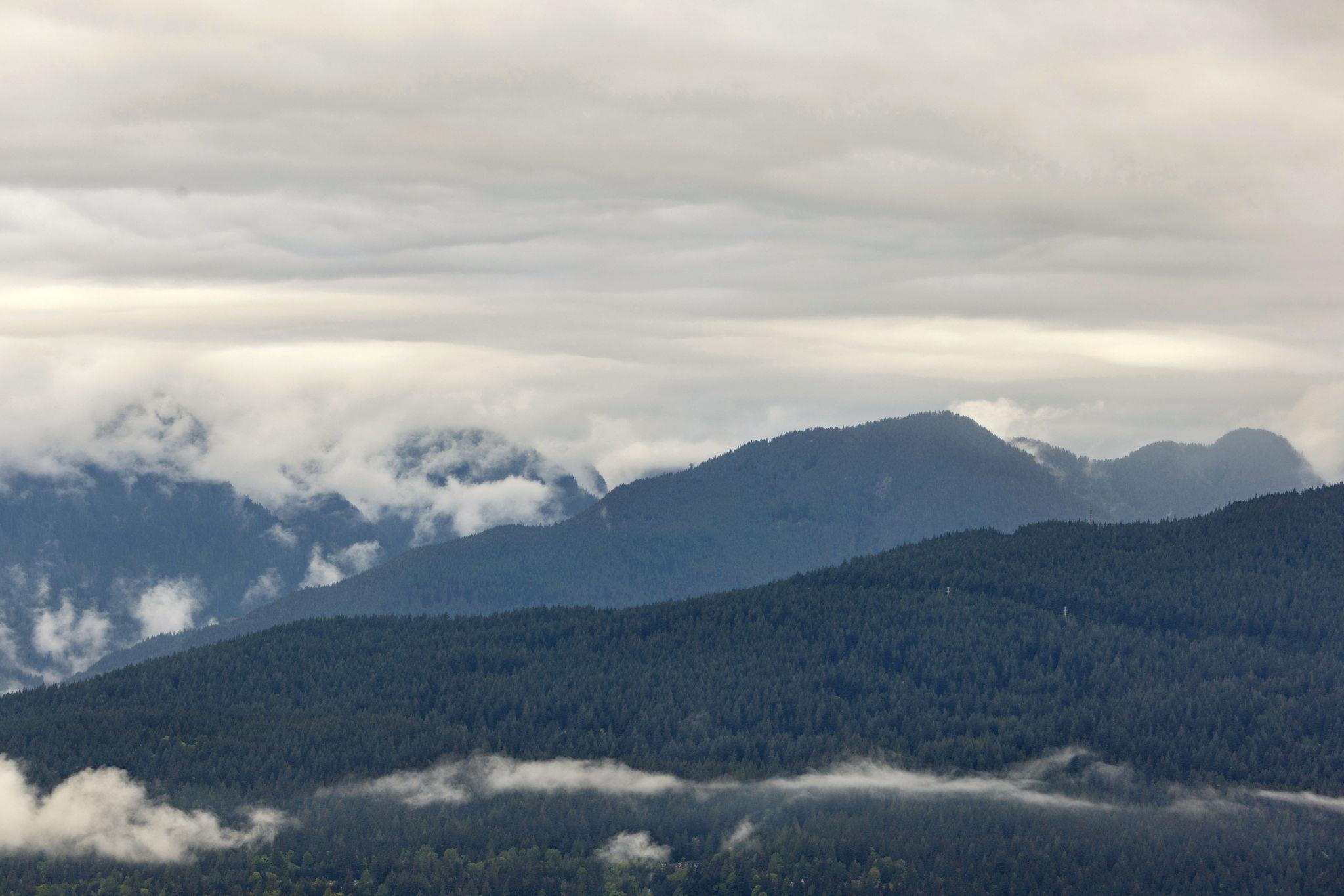 905 8750 UNIVERSITY CRESCENT Unit: 905