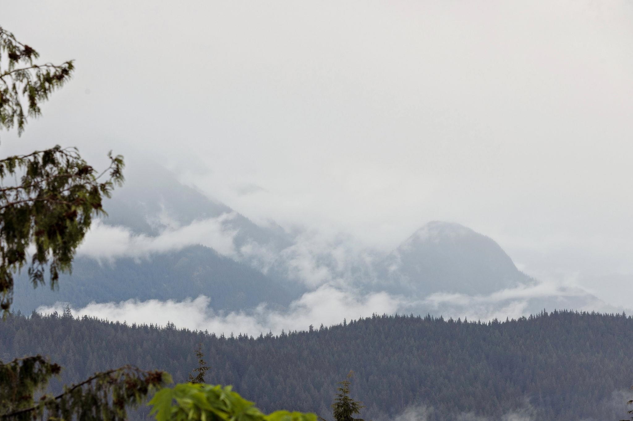 905 8750 UNIVERSITY CRESCENT Unit: 905