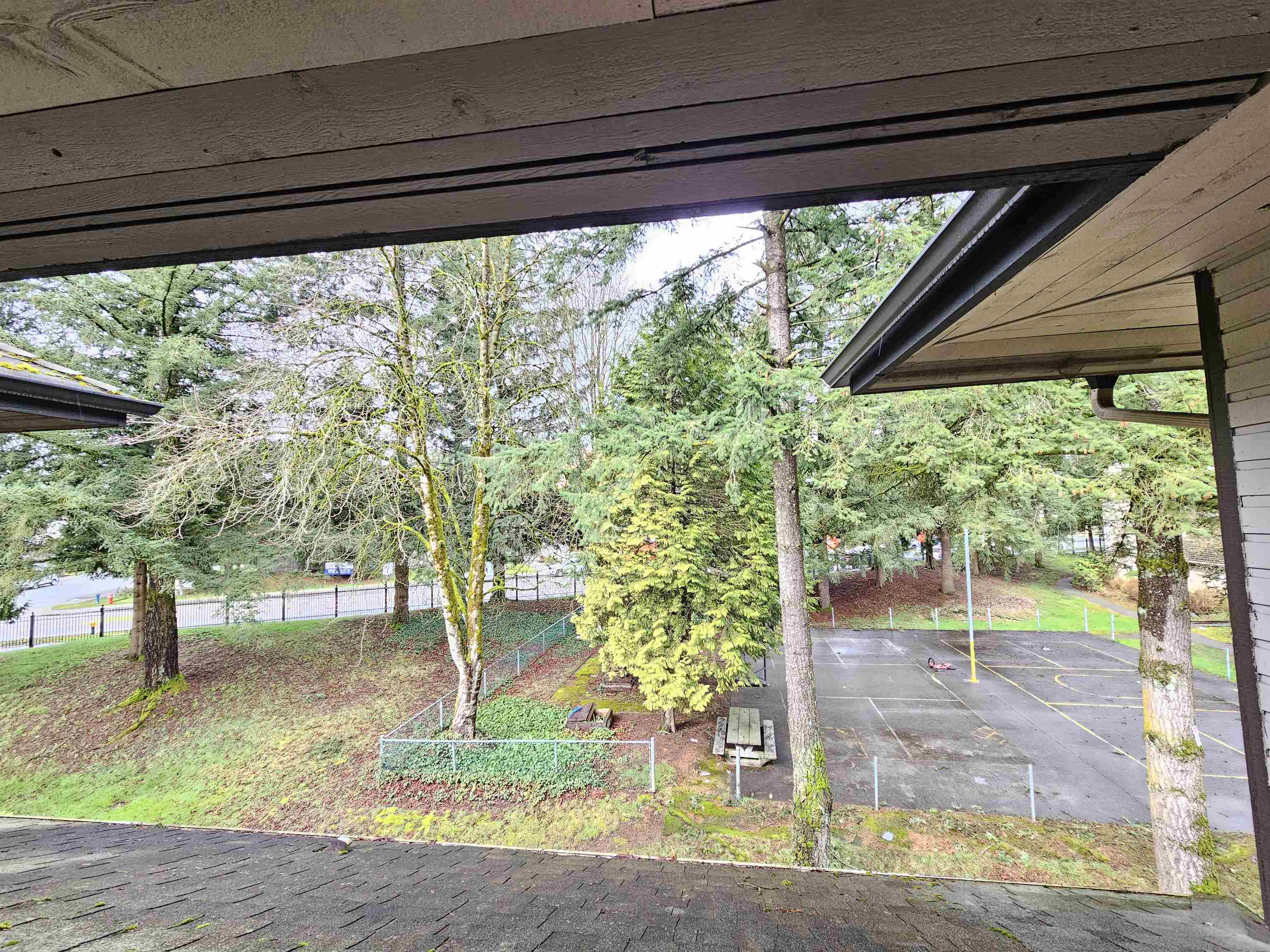 10539 HOLLY PARK LANE