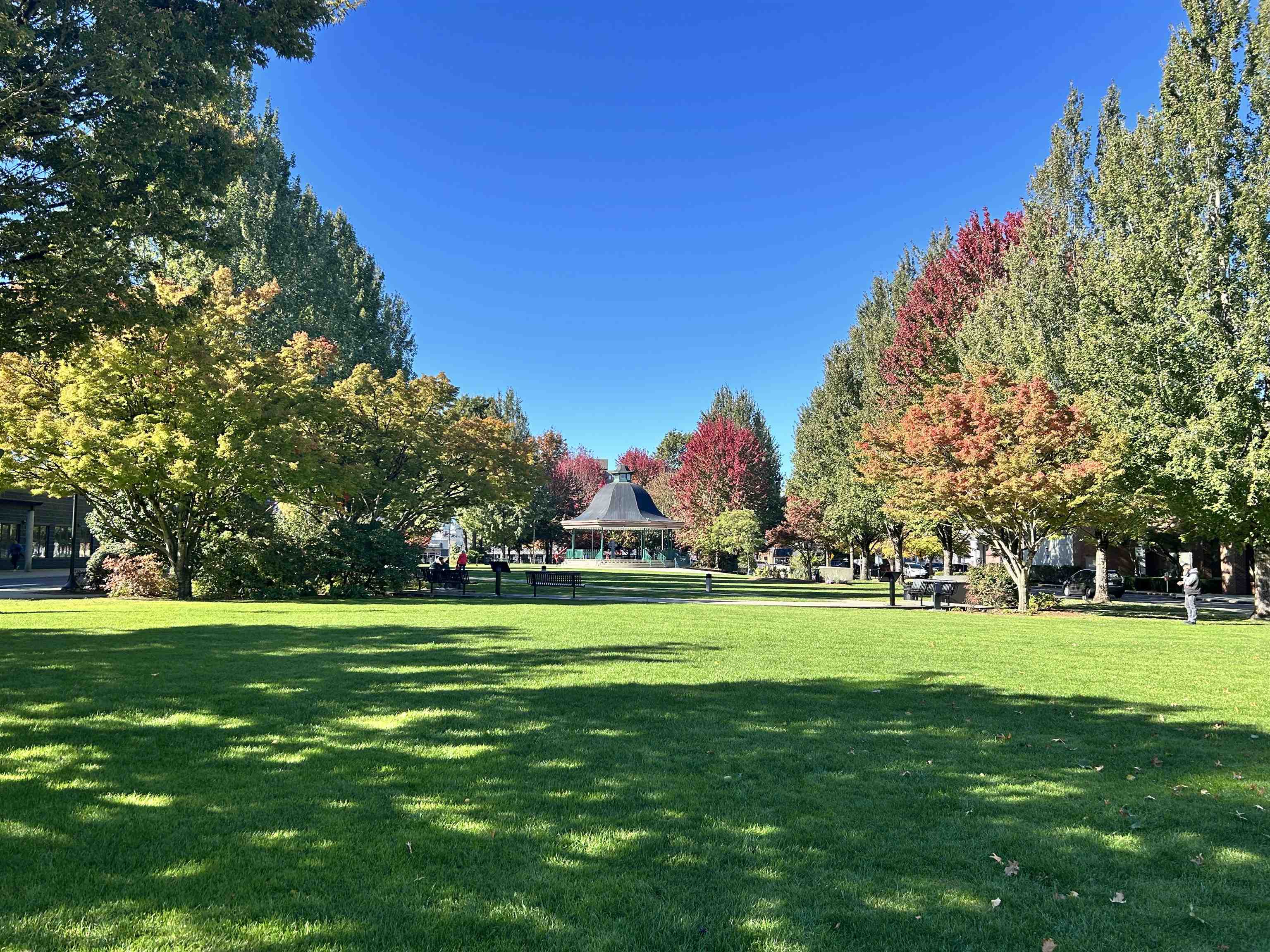 215 22150 DEWDNEY TRUNK ROAD Unit: 215