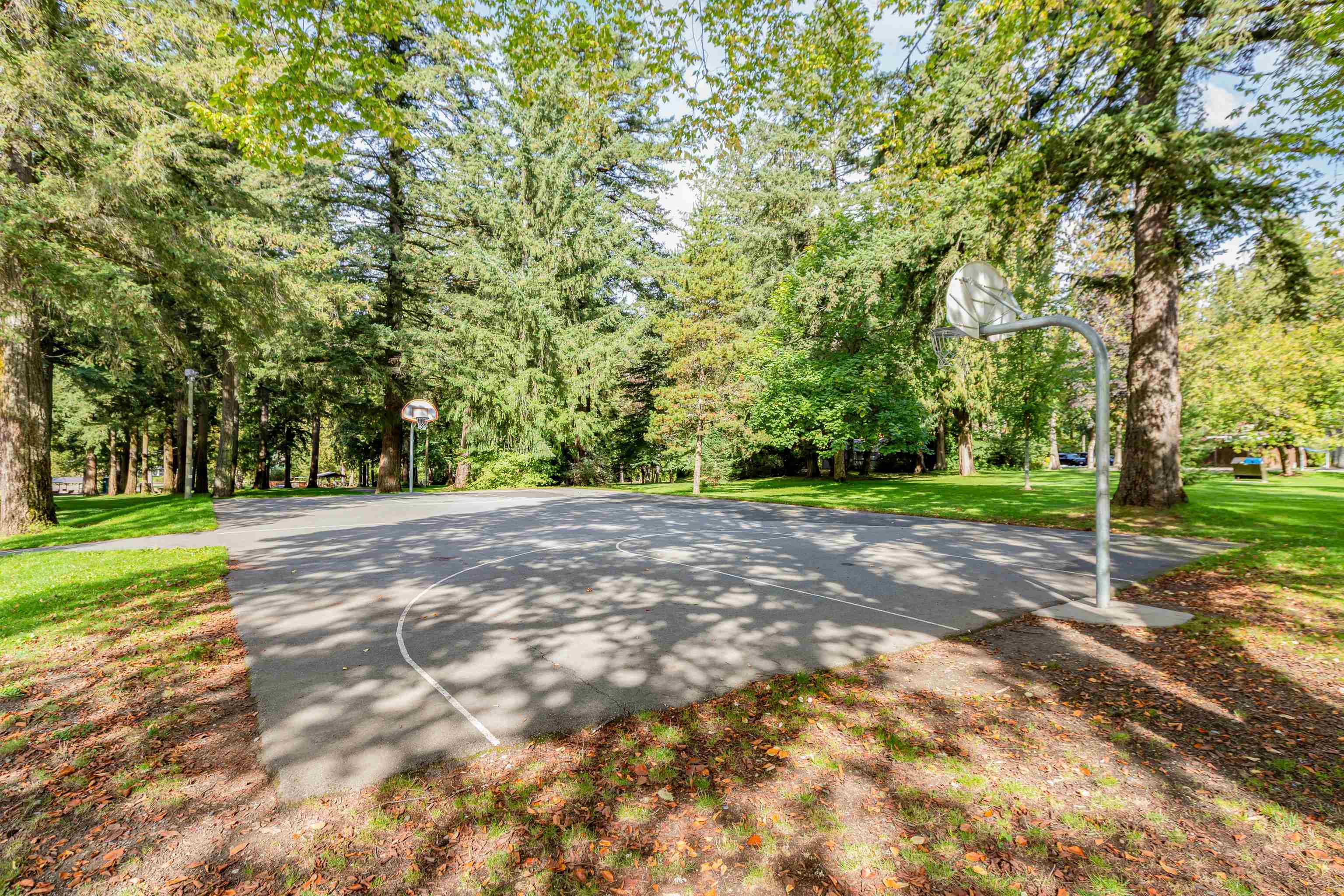 279 FIR STREET, Chilliwack