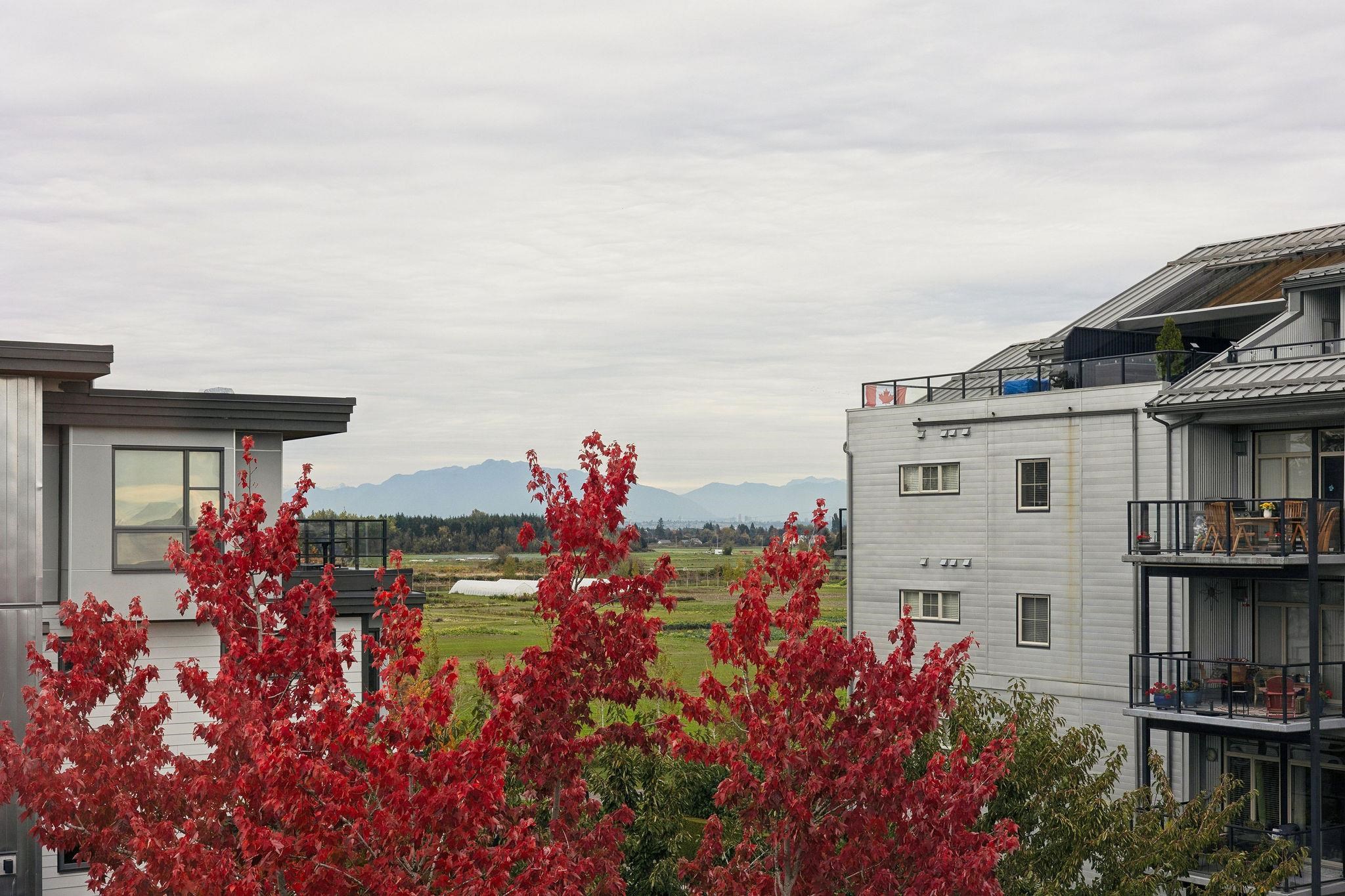 220 6111 LONDON ROAD, Richmond Unit: 220