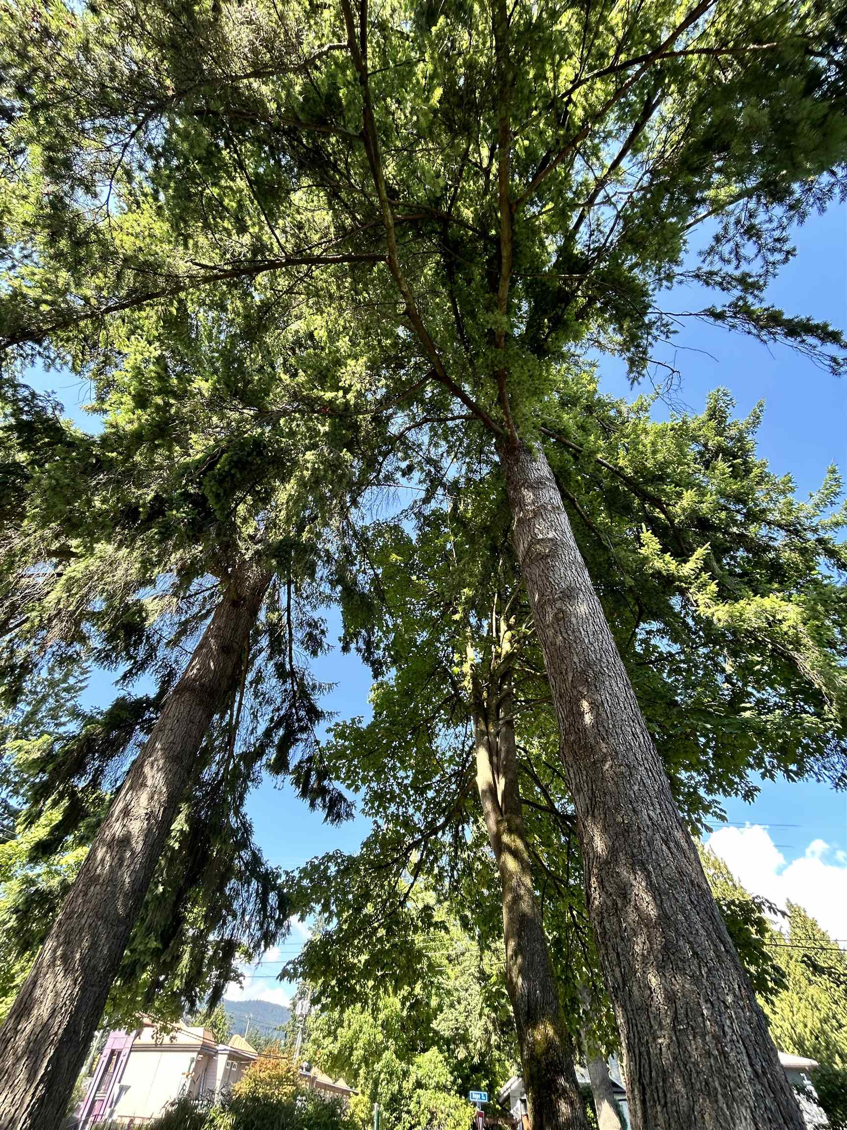 1798 GARDEN AVENUE, North Vancouver