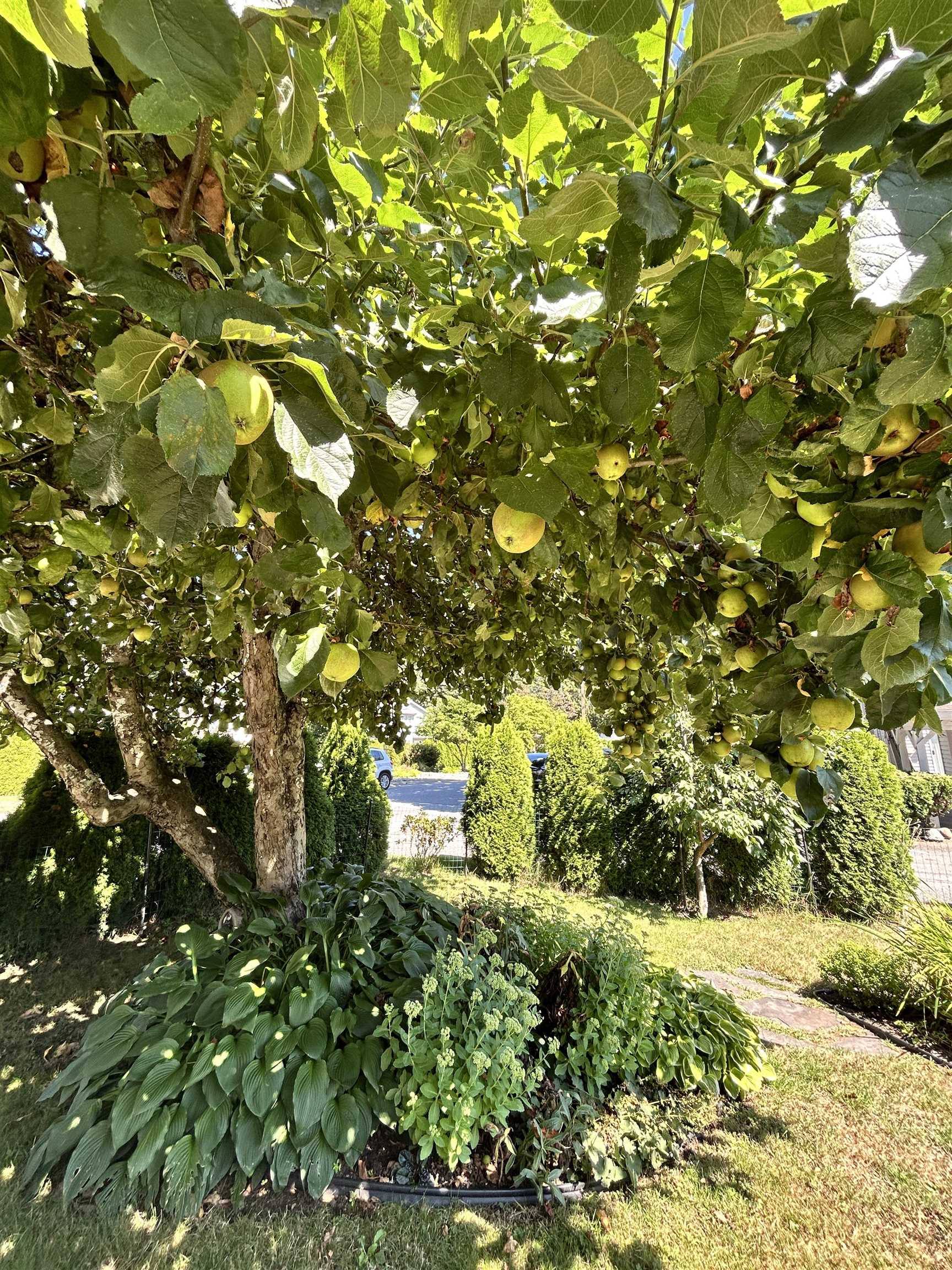 1798 GARDEN AVENUE, North Vancouver