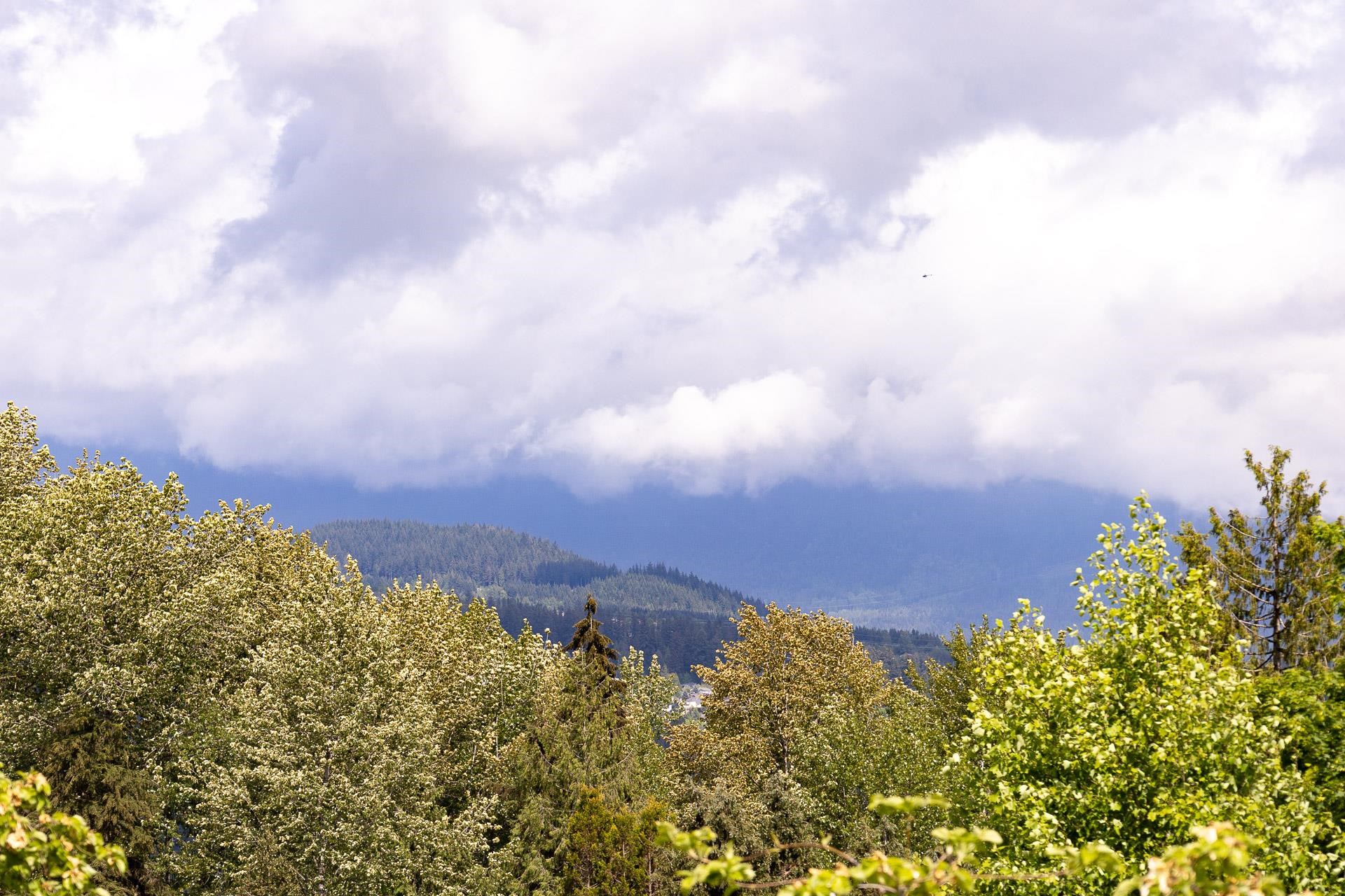 1087 CECILE DRIVE, Port Moody