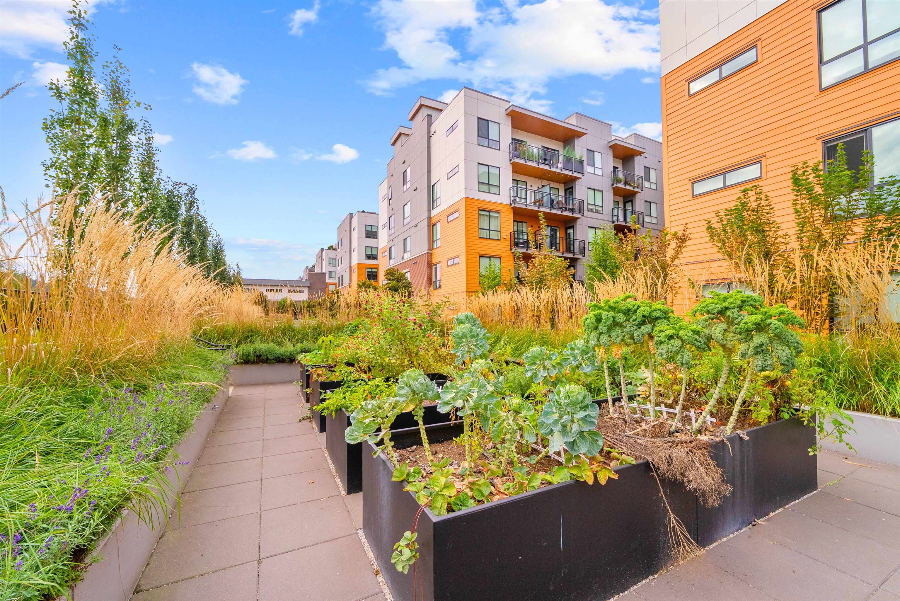 237 55 KLAHANIE DRIVE, Port Moody Unit: 237