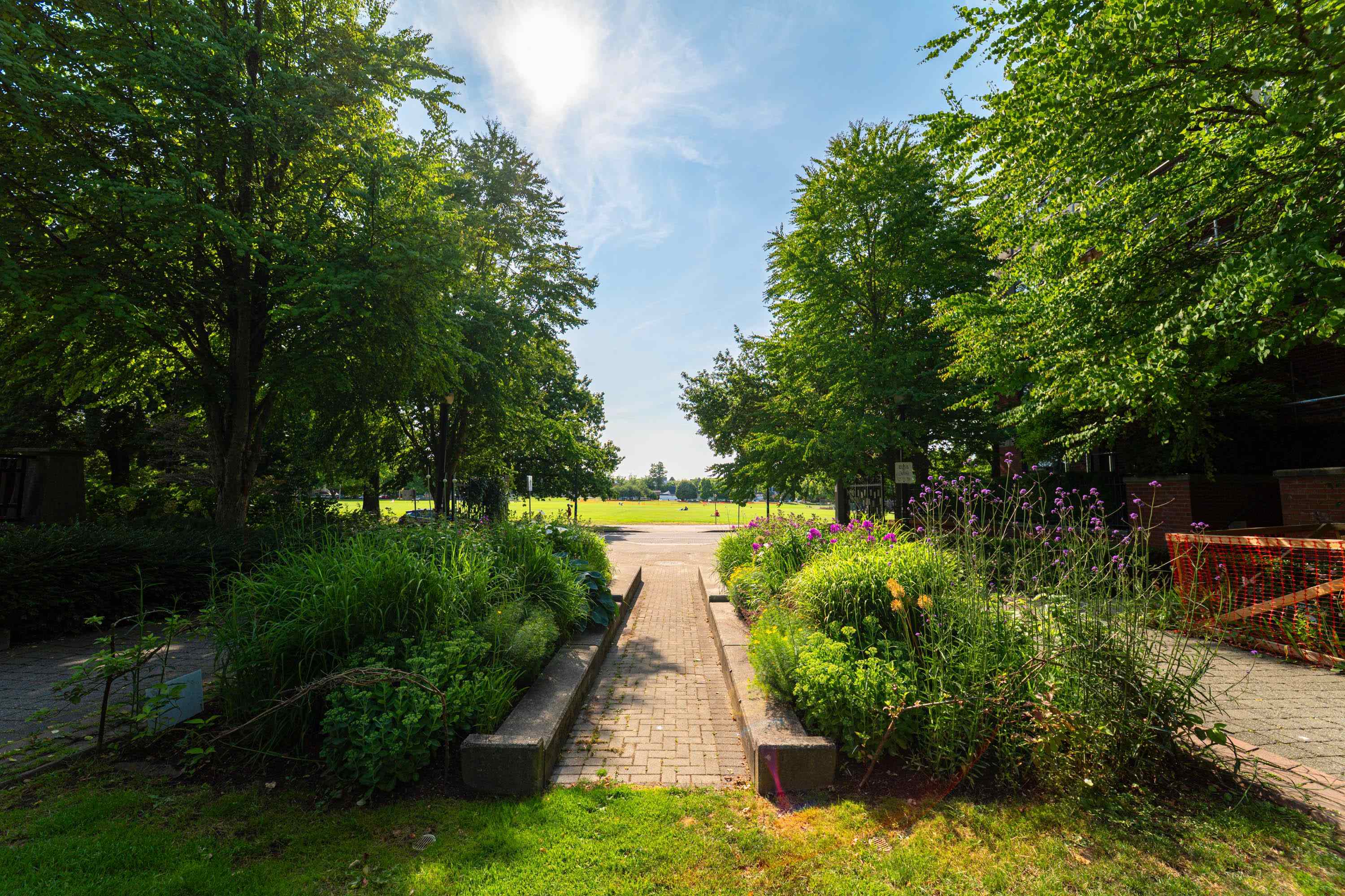 404 2688 VINE STREET Unit: 404